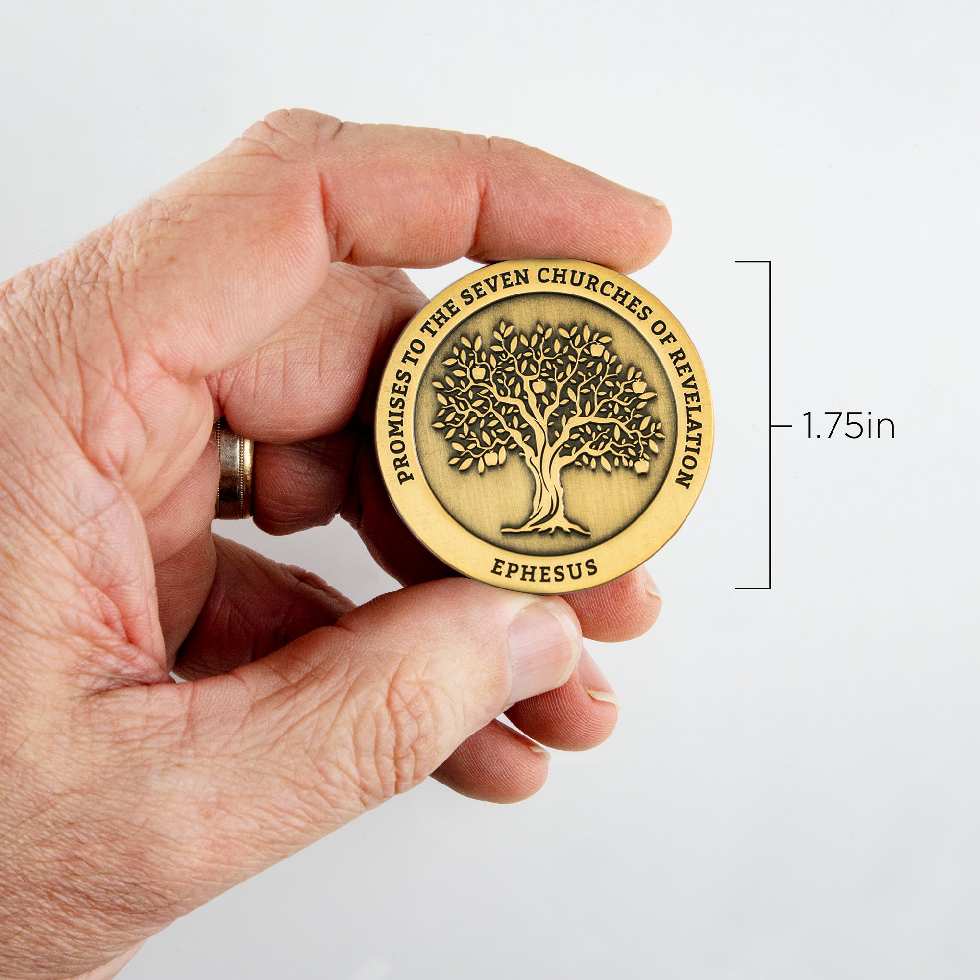 Ephesus, Seven Churches of Revelation Antique Gold Plated Challenge Coin in hand for size reference