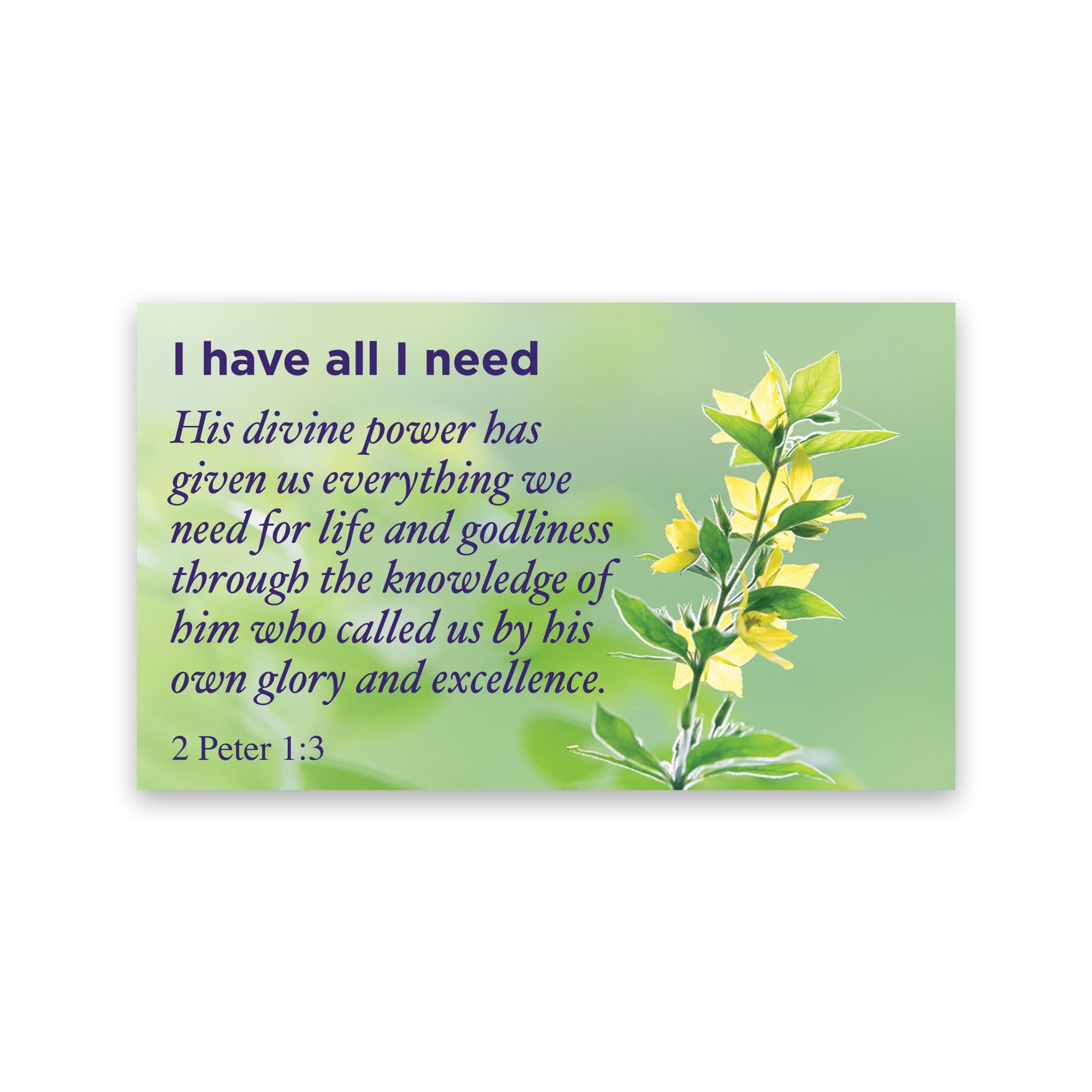 I have all I need, 1 Peter 1:3, Pass Along Scripture Cards, Pack of 25