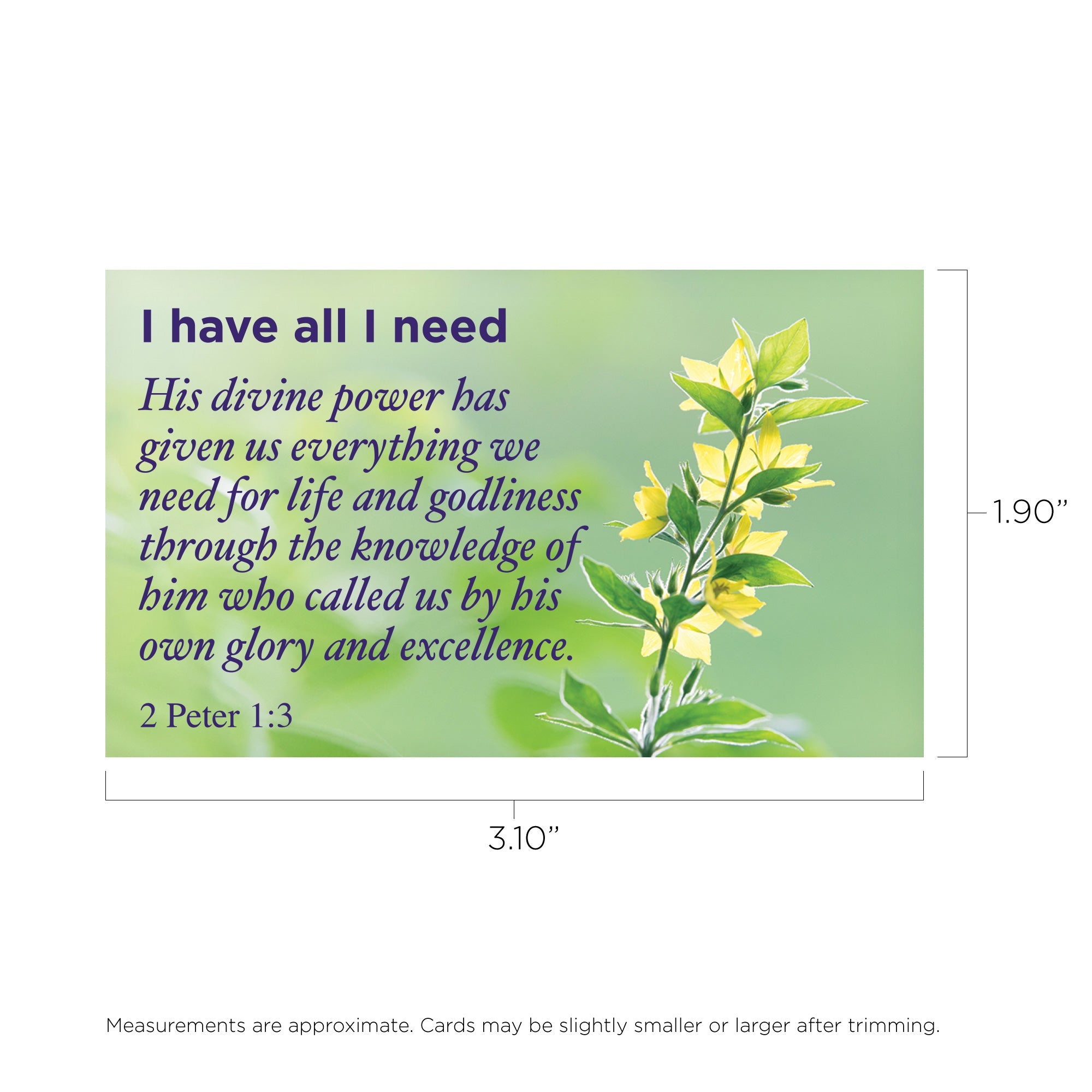 I have all I need, 1 Peter 1:3, Pass Along Scripture Cards, Pack of 25