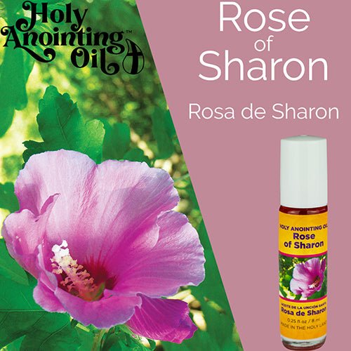 Rose of Sharon Anointing Oil from Israel, Bulk Set of 6 Roll On Bottles, 1/4 oz Each, Made in the Holy Land of Jerusalem, Prayer Gift for Pastors & Priests, Aceite Ungido de Rosa de Sharon