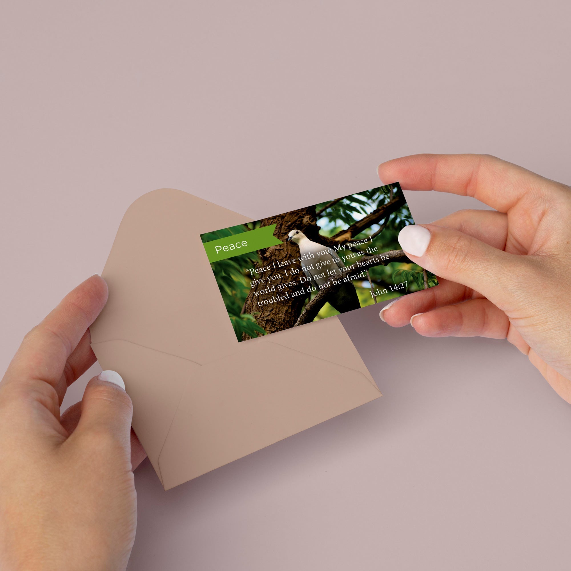 Peace, John 14:27, Pass Along Scripture Cards, Pack 25