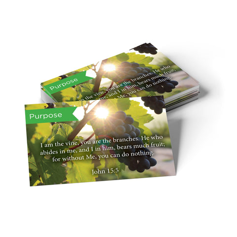 Pass Along Scripture Cards, Purpose, John 15:5, Pack 25