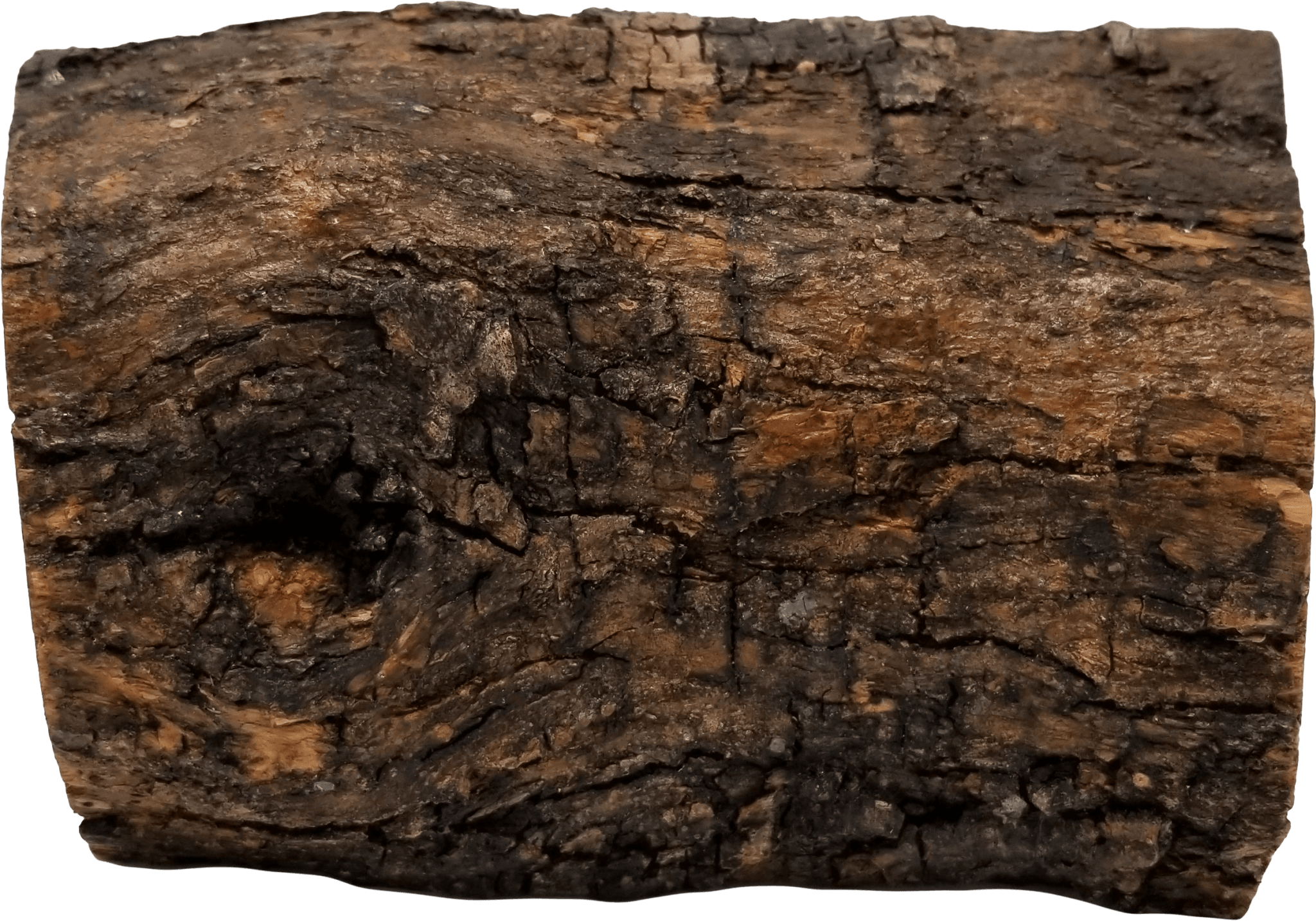 Nativity Grotto Log With Bark 3D Holy Land Olive Wood  - Large- Made in Bethlehem