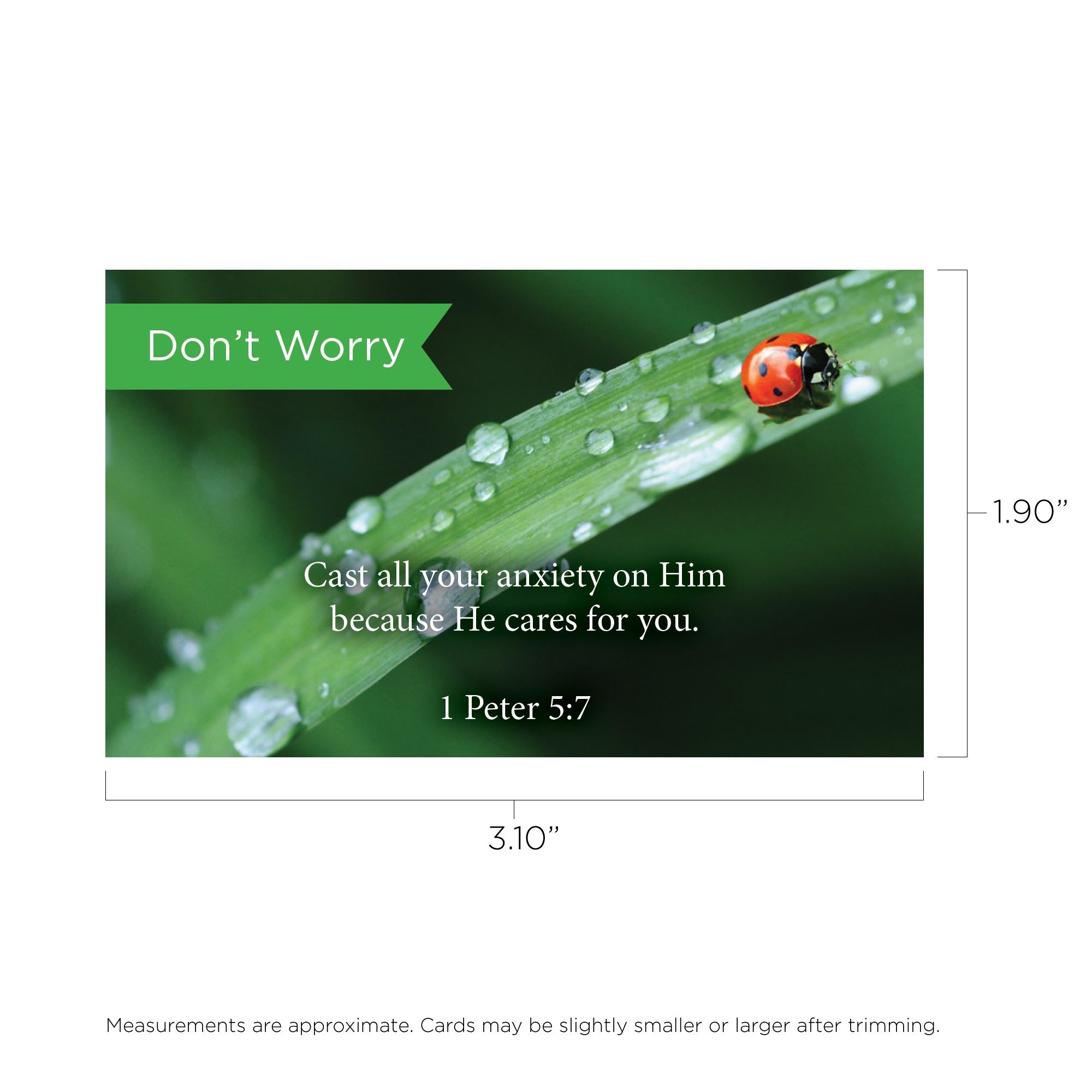 Pass Along Scripture Cards, Don't Worry, 1 Peter 5:7, Pack 25
