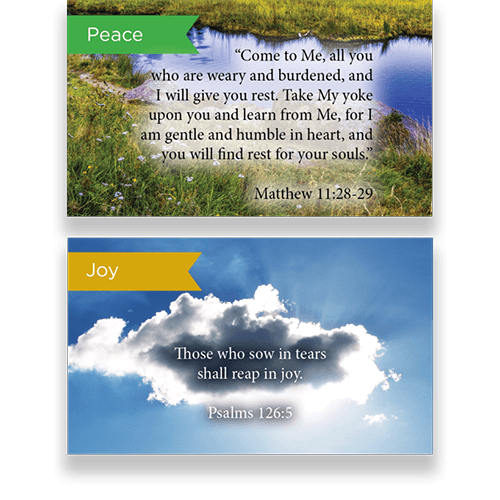 Pass Along Scripture Cards Variety Pack of 60 - Assortment 6