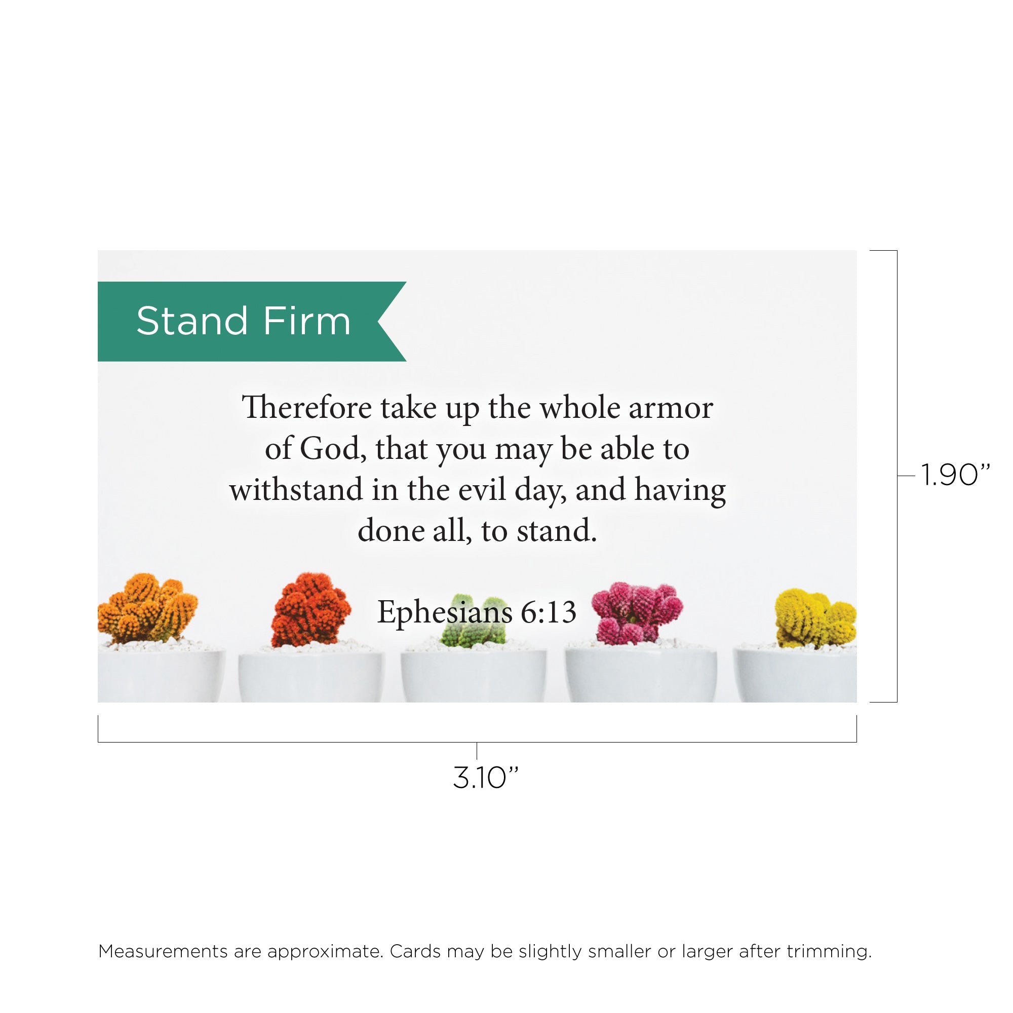 Pass Along Scripture Cards, Stand Firm, Eph, 6:13, Pack 25
