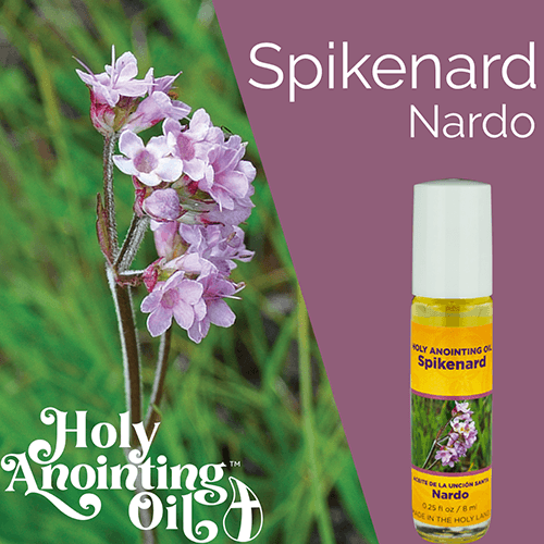 Spikenard Anointing Oil from Israel, Deluxe Gift Box Set - Silver