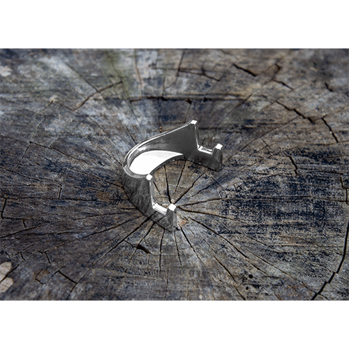 silver coin holder on wood - side view