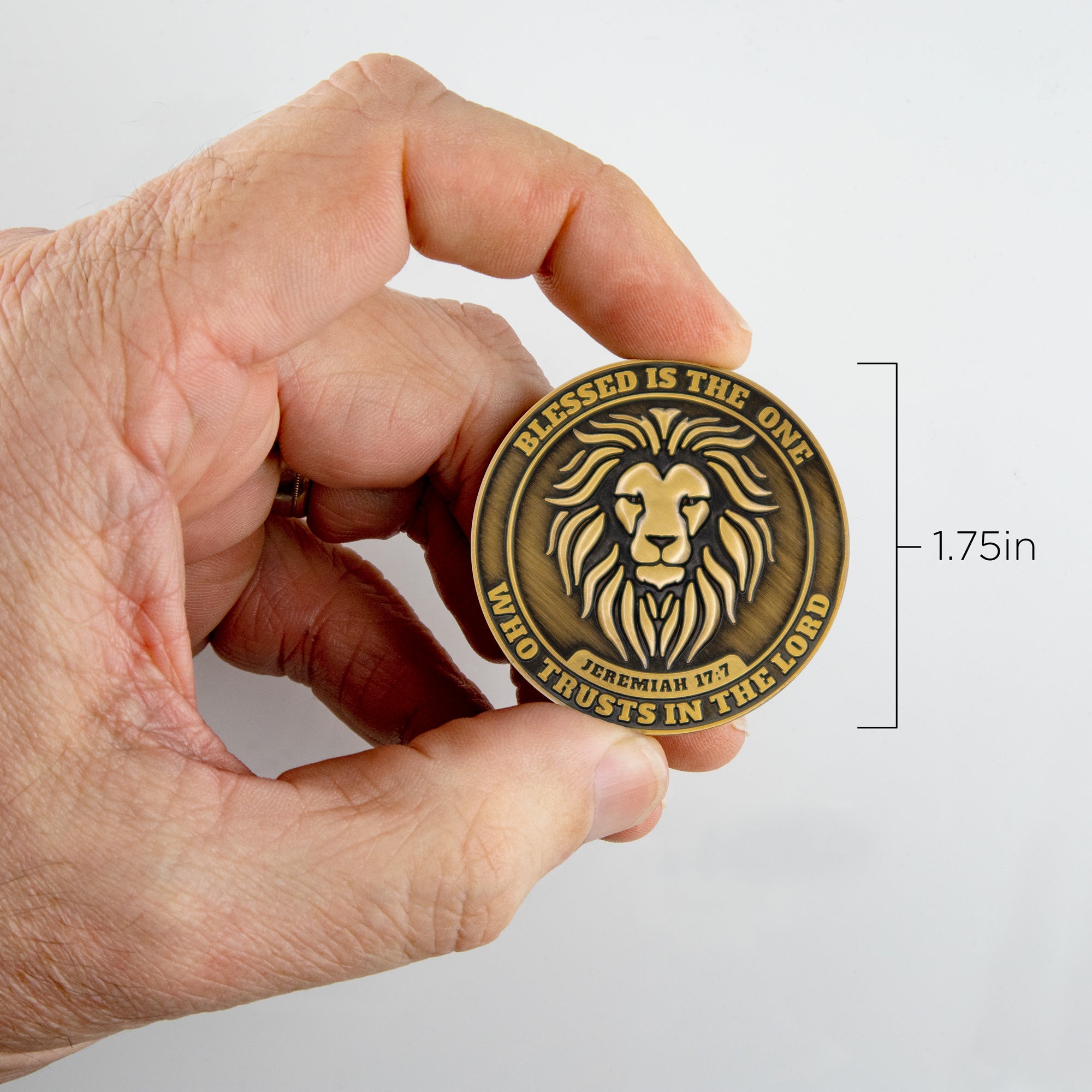 Trust in the Lord, Lion Challenge Coin