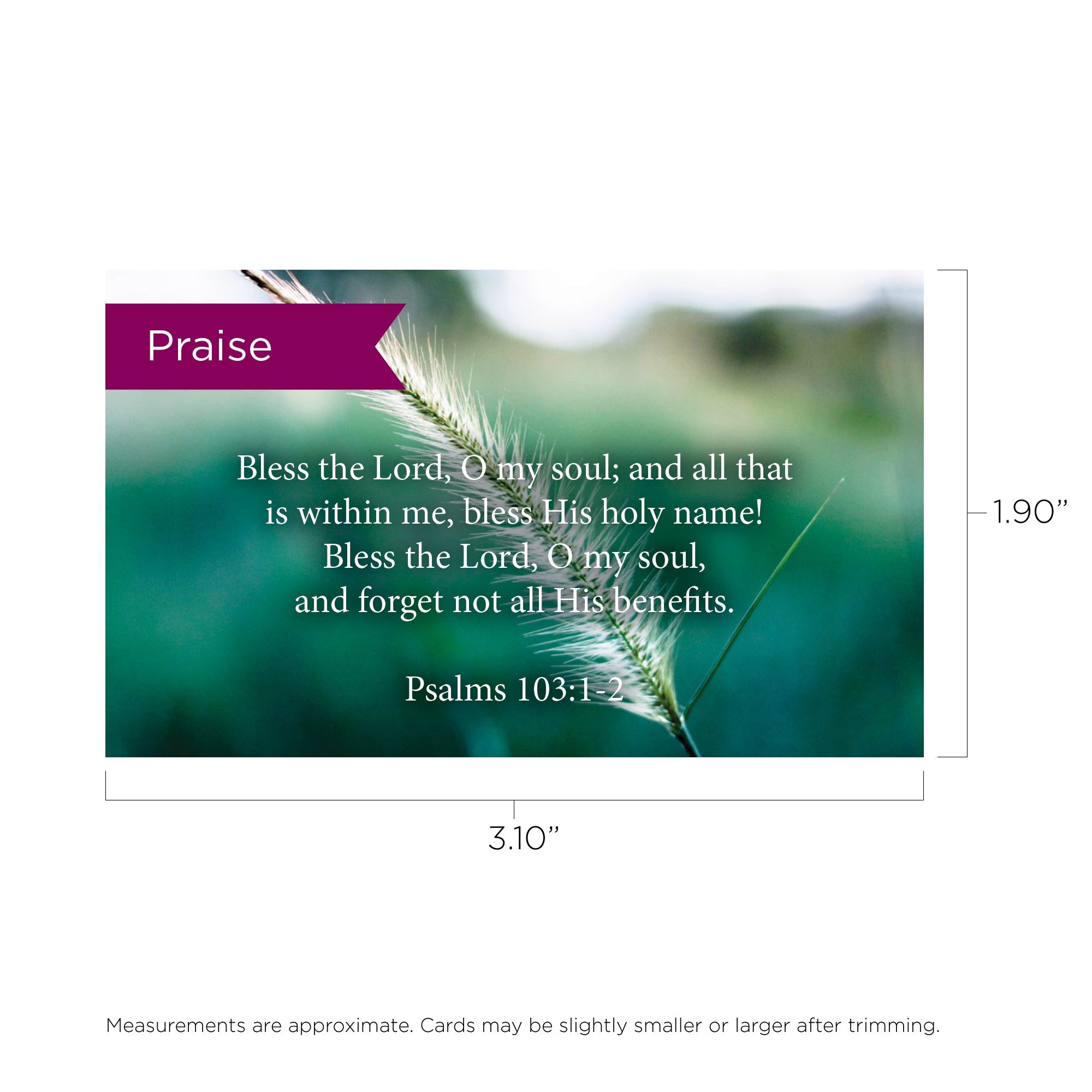 Pass Along Scripture Cards, Praise, Psalms 103:12, Pack 25