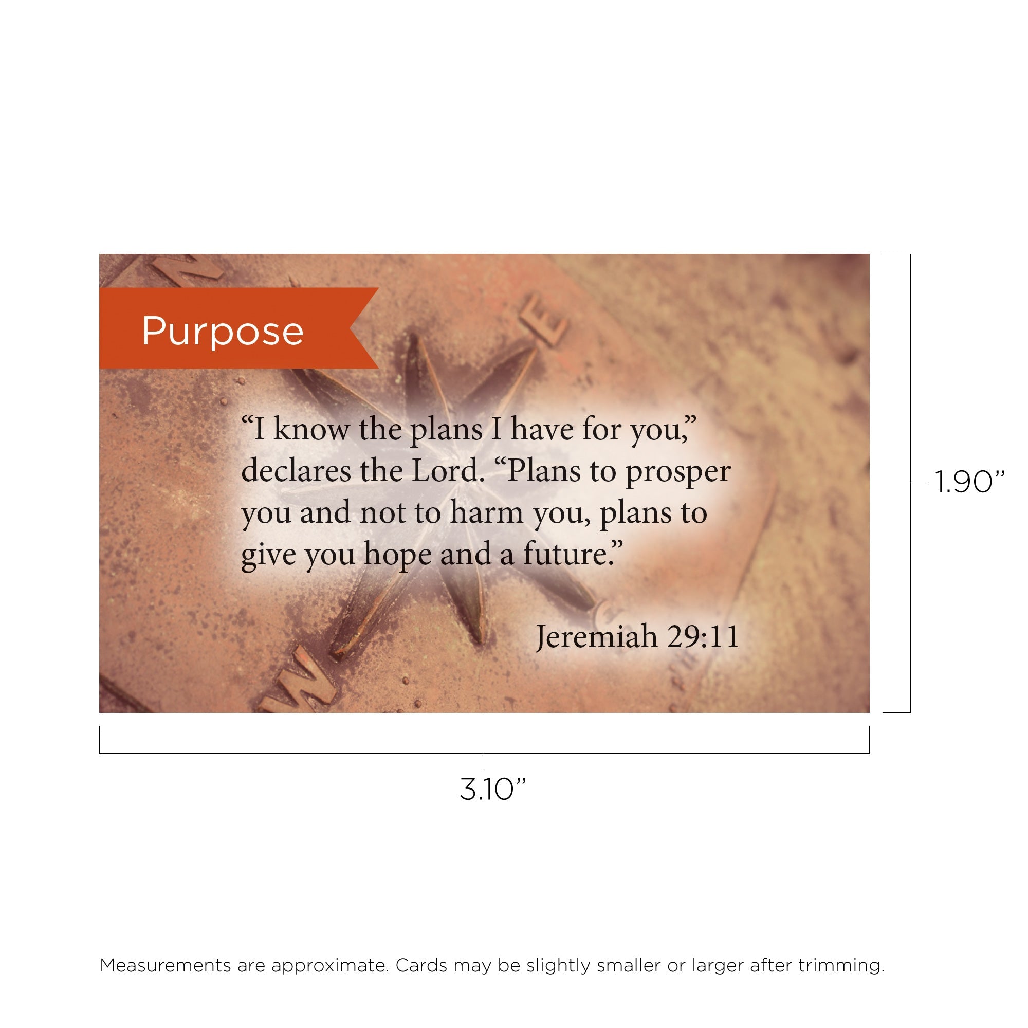 Purpose, Jeremiah 29:11, Pass Along Scripture Cards, Pack 25