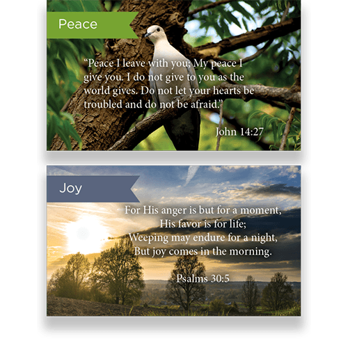 Pass Along Scripture Cards Variety Pack of 60 - Assortment 10