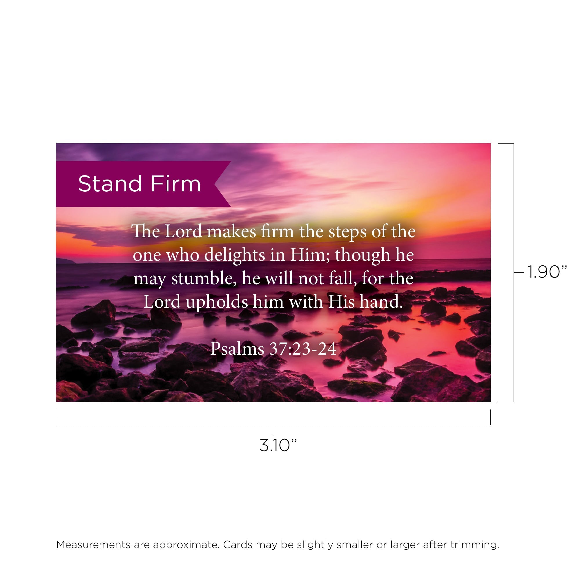 Pass Along Scripture Cards, Stand Firm, Psalms 37:23-24, Pack 25