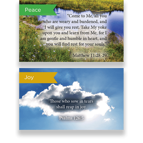 Pass Along Scripture Cards Variety Pack of 60 - Assortment 11