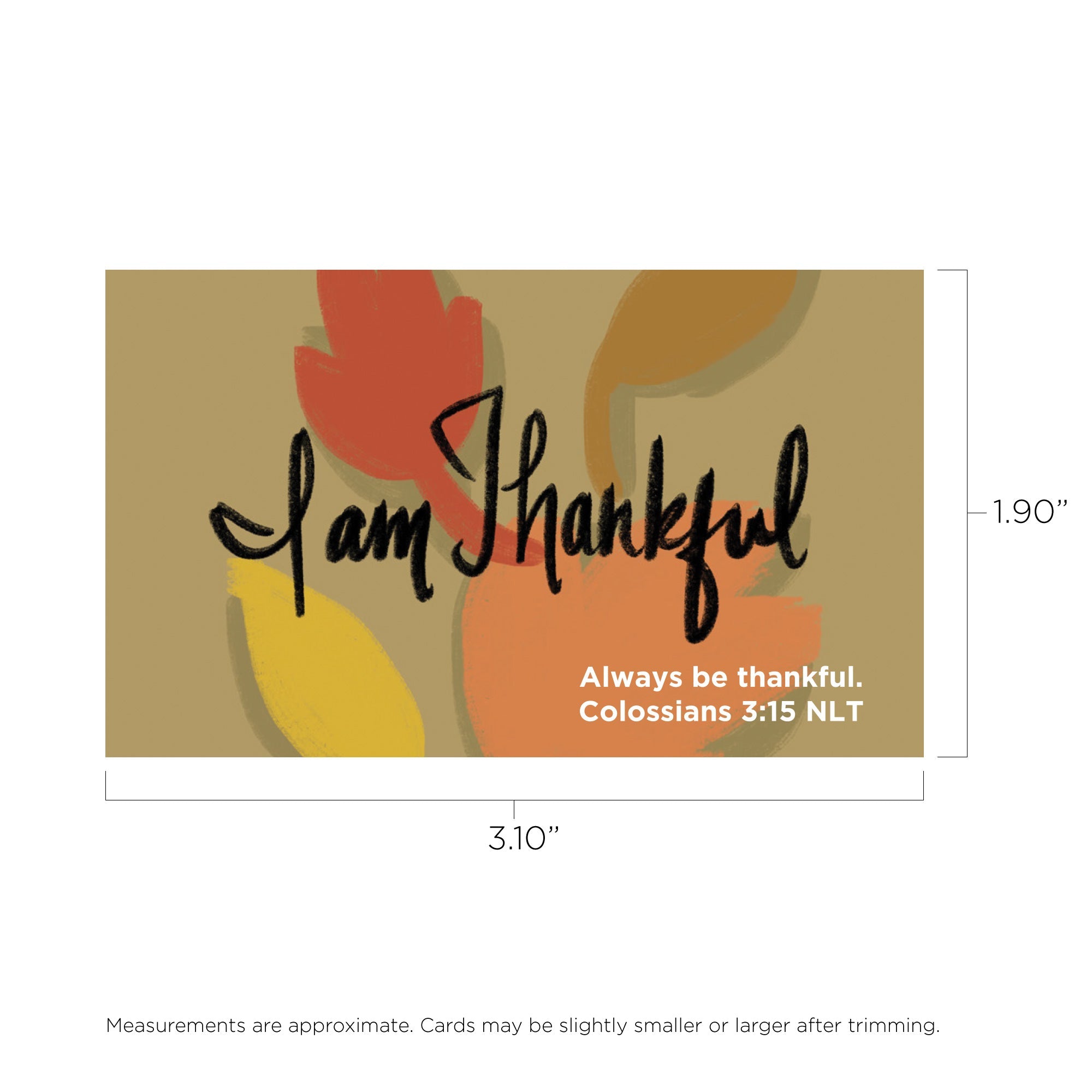 Thanksgiving, Pass Along Scripture Cards, I Am Thankful, Colossians 3:15, Pack of 25