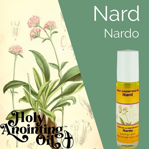 Nard Anointing Oil from Israel, Bulk Set of 6 Roll On Bottles, 1/4 oz Each, Made in the Holy Land of Jerusalem, Prayer Gift for Pastors & Priests, Aceite Ungido de Nardo