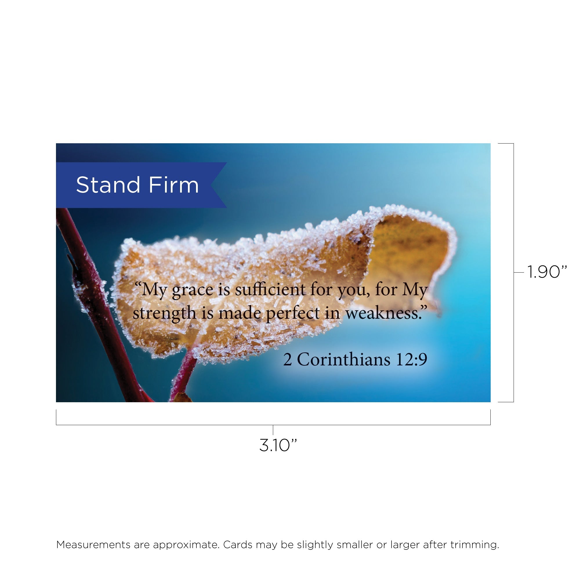 Stand Firm, 2 Cor 12:9, Pass Along Scripture Cards, Pack 25