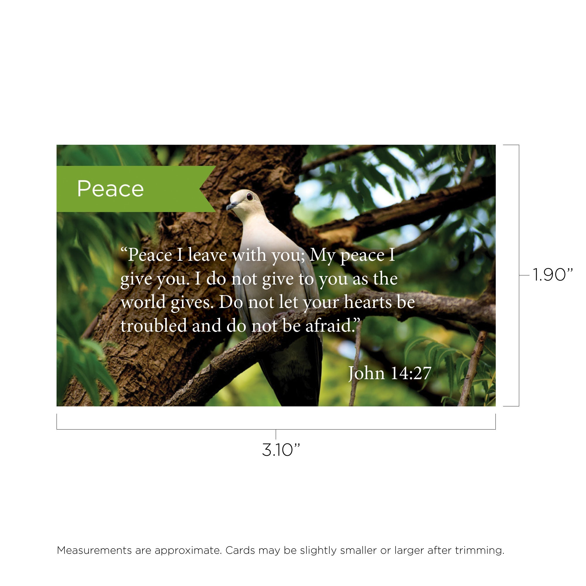 Peace, John 14:27, Pass Along Scripture Cards, Pack 25