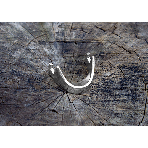 silver coin holder on wood - back view