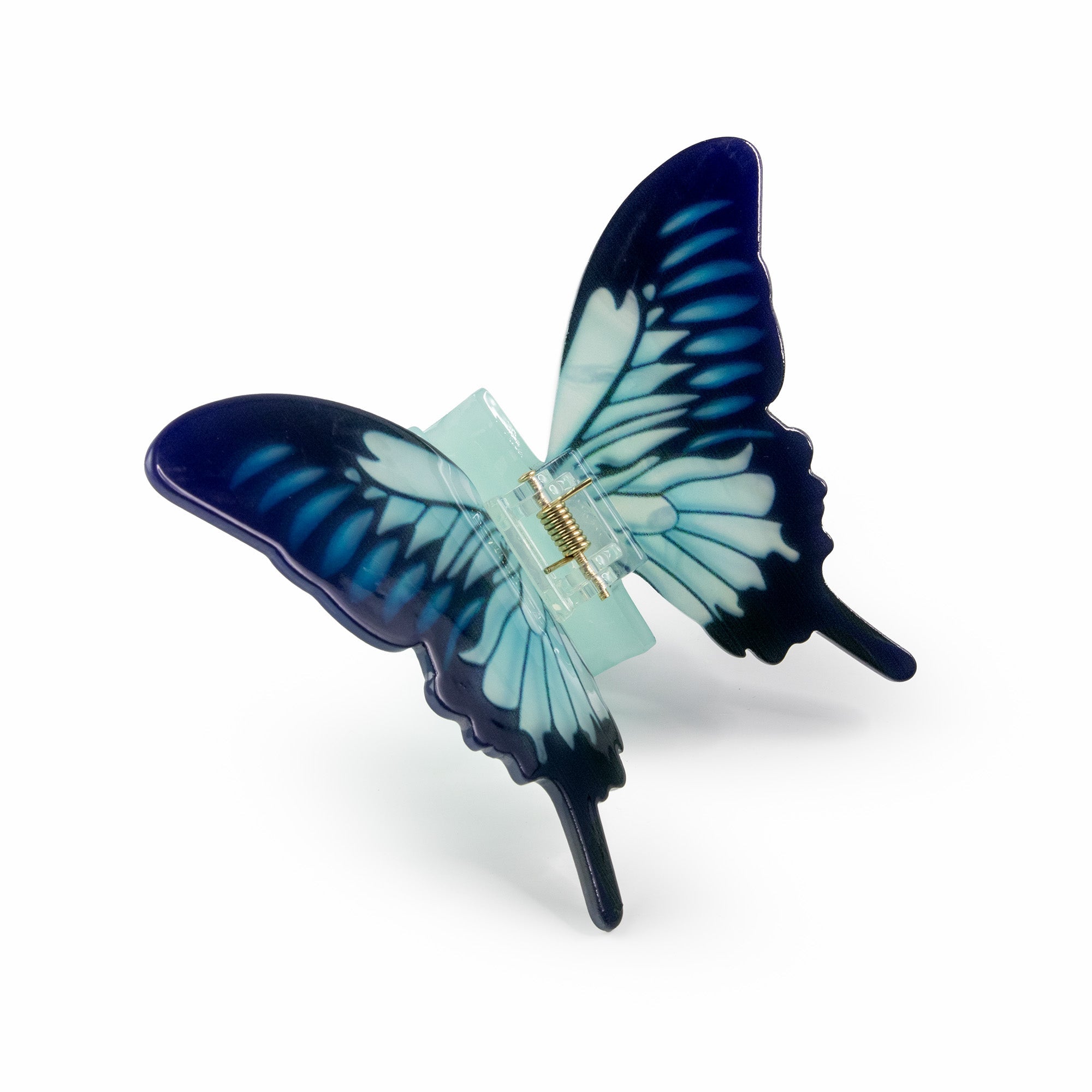 Butterfly Clip Blue - New Spirit, Ezekiel 36:26