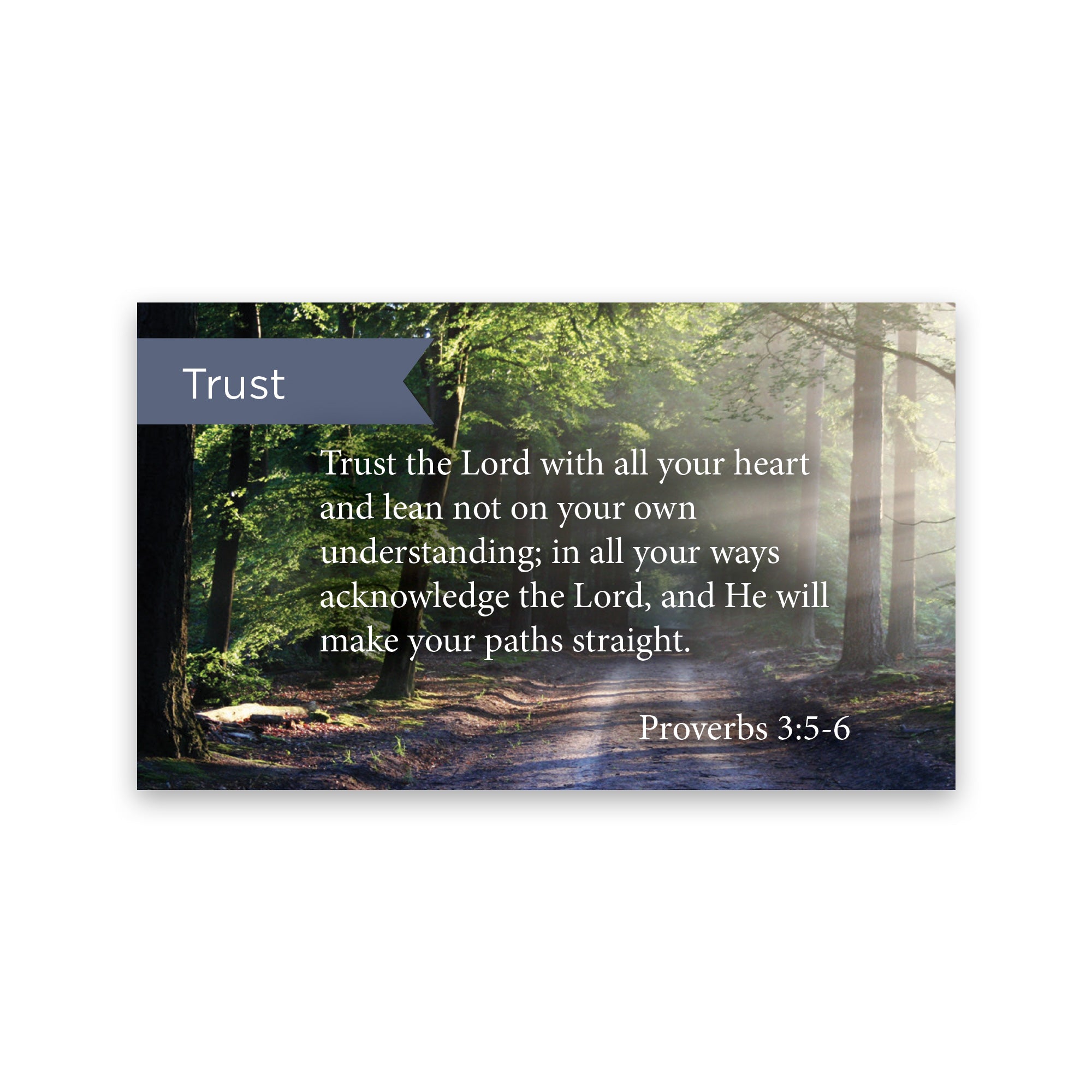 Trust In The Lord, Prov 3:5-6, Pass Along Scripture Cards, Pack 25
