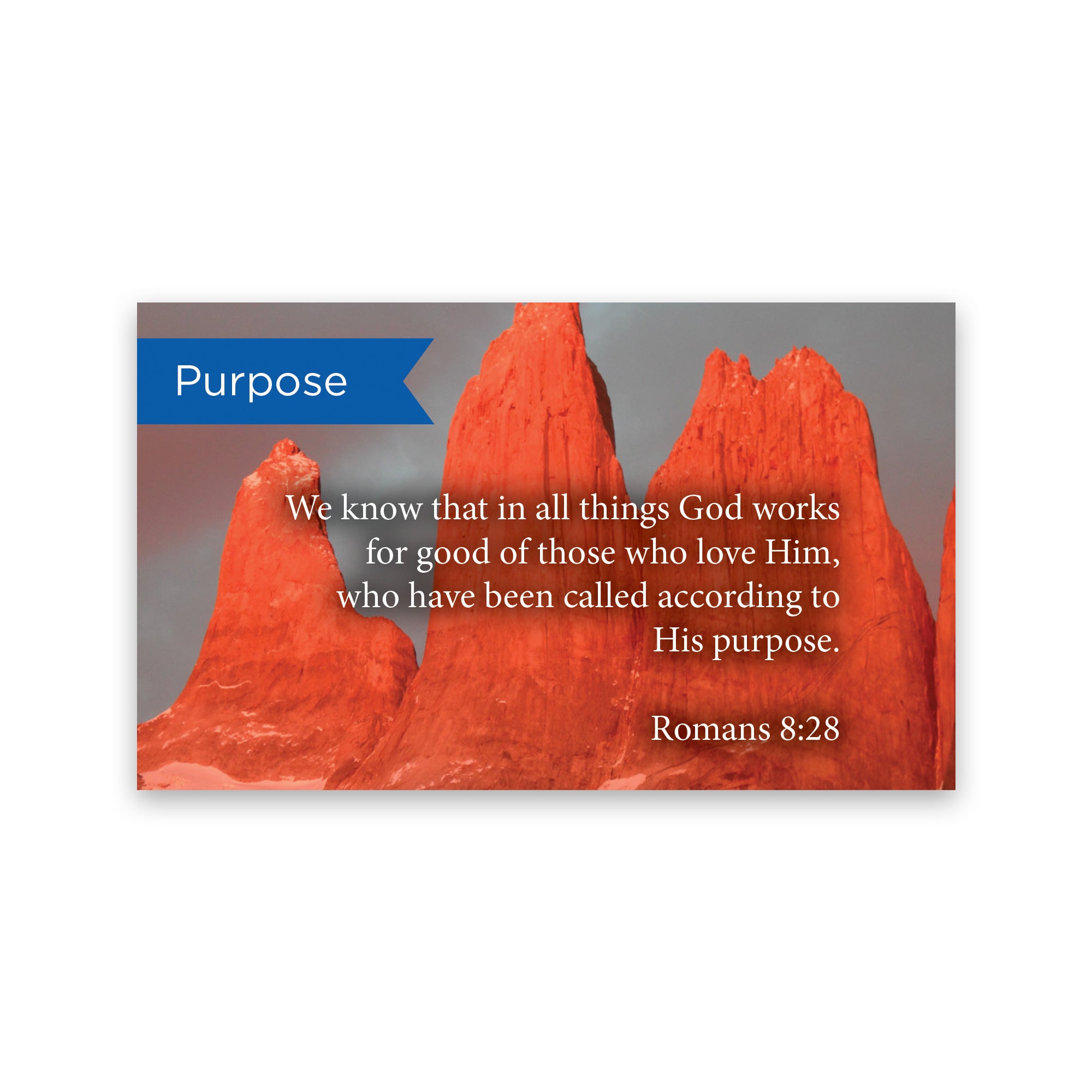Purpose, Romans 8:28, Pass Along Scripture Cards, Pack 25