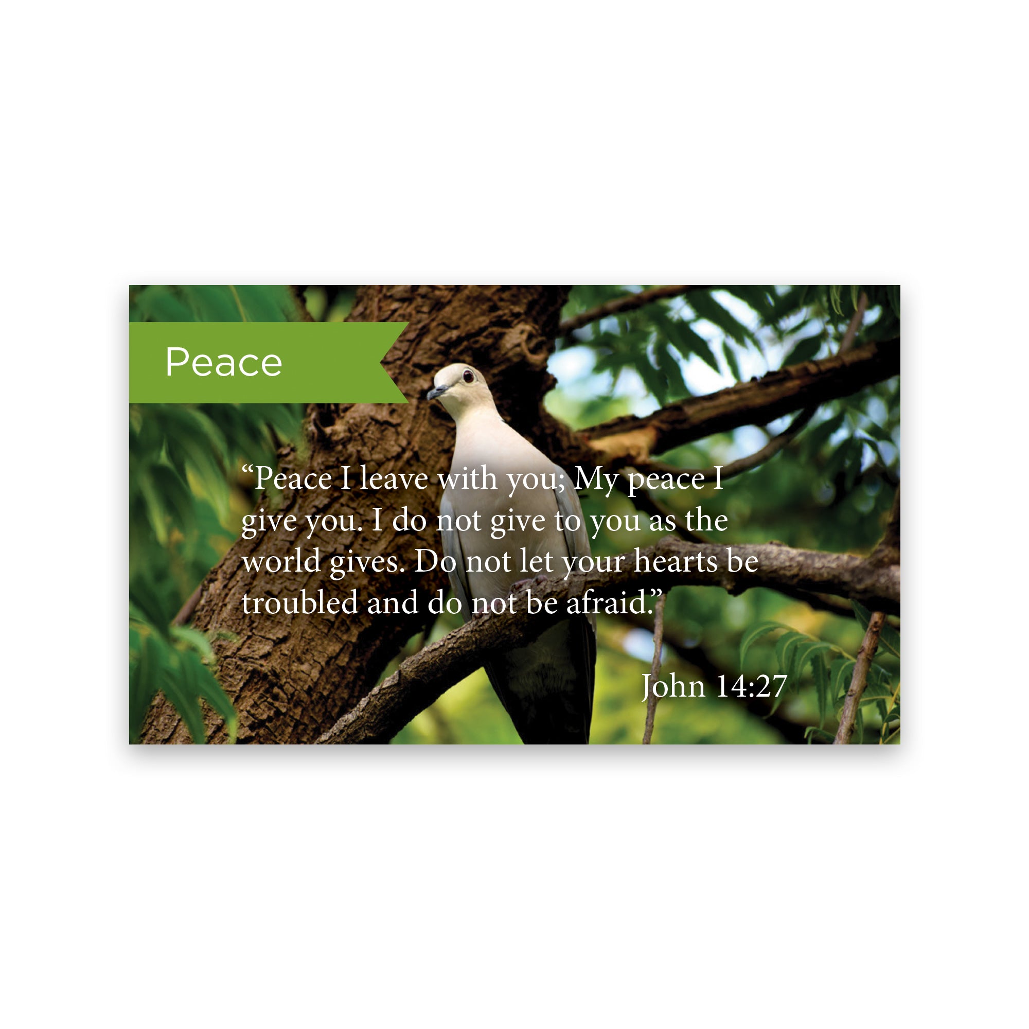 Peace, John 14:27, Pass Along Scripture Cards, Pack 25
