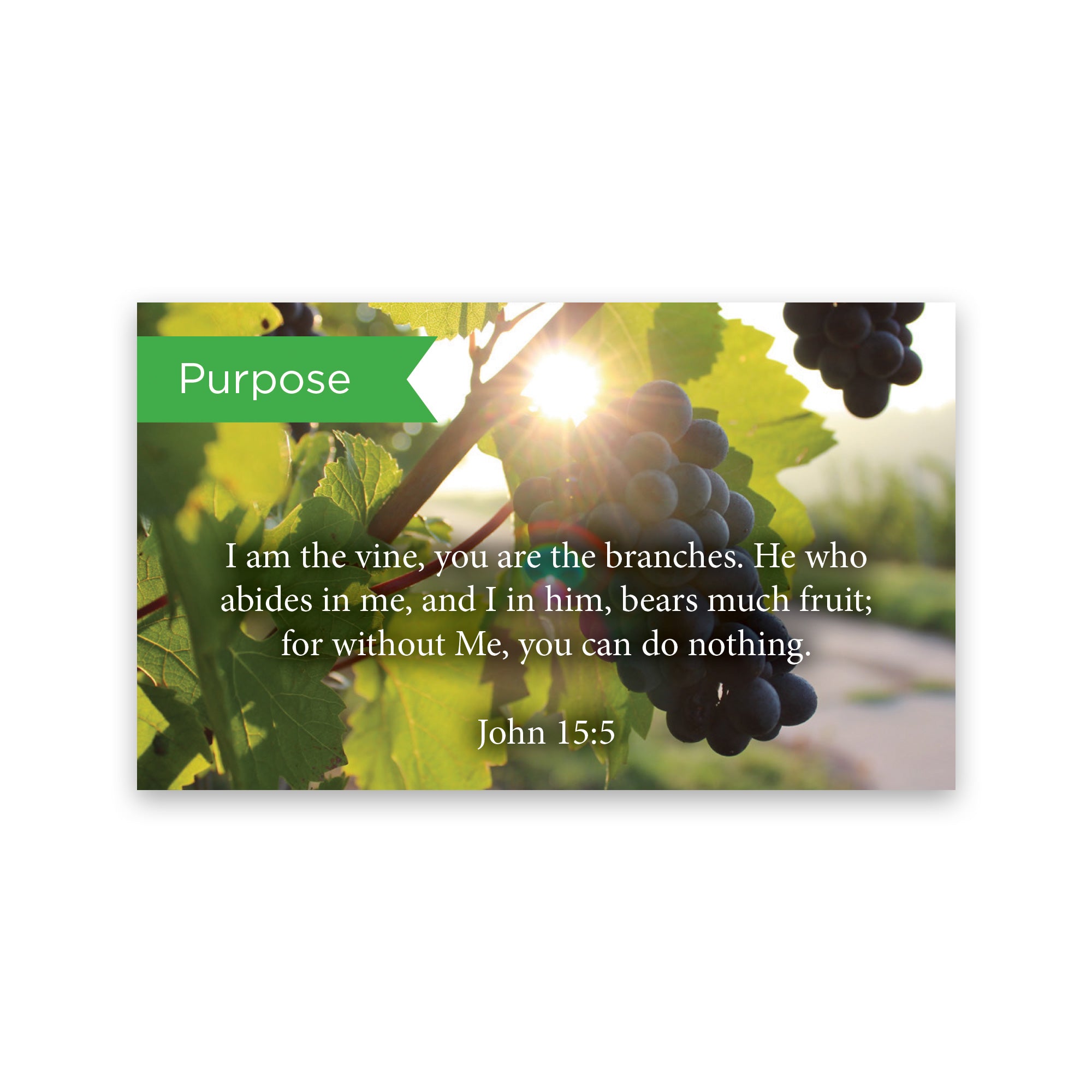 Pass Along Scripture Cards, Purpose, John 15:5, Pack 25