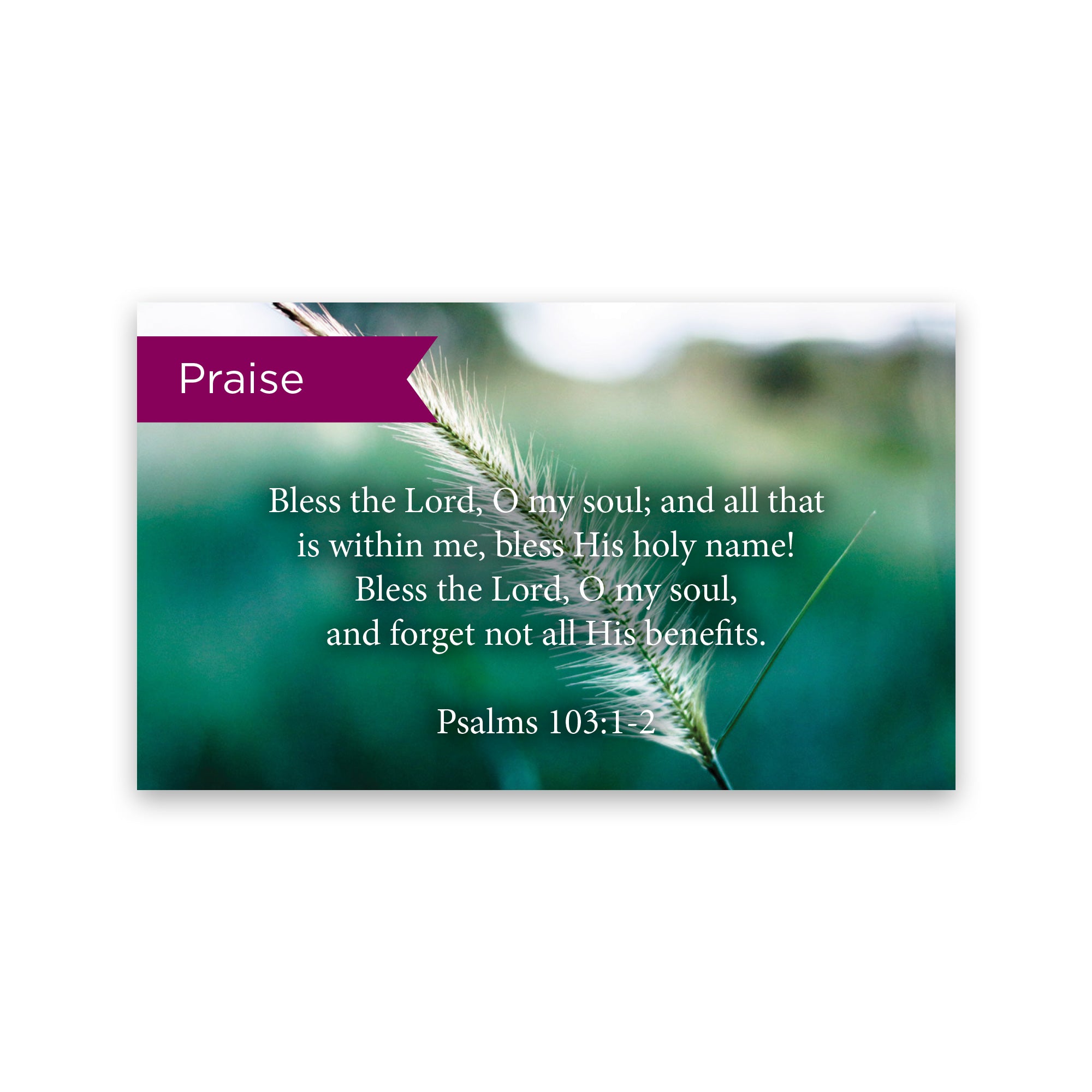 Pass Along Scripture Cards, Praise, Psalms 103:12, Pack 25