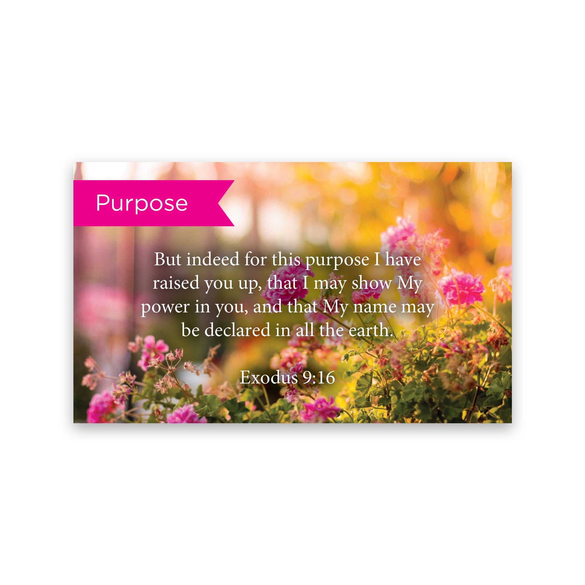 Pass Along Scripture Cards, Purpose, Exodus 9:16, Pack 25