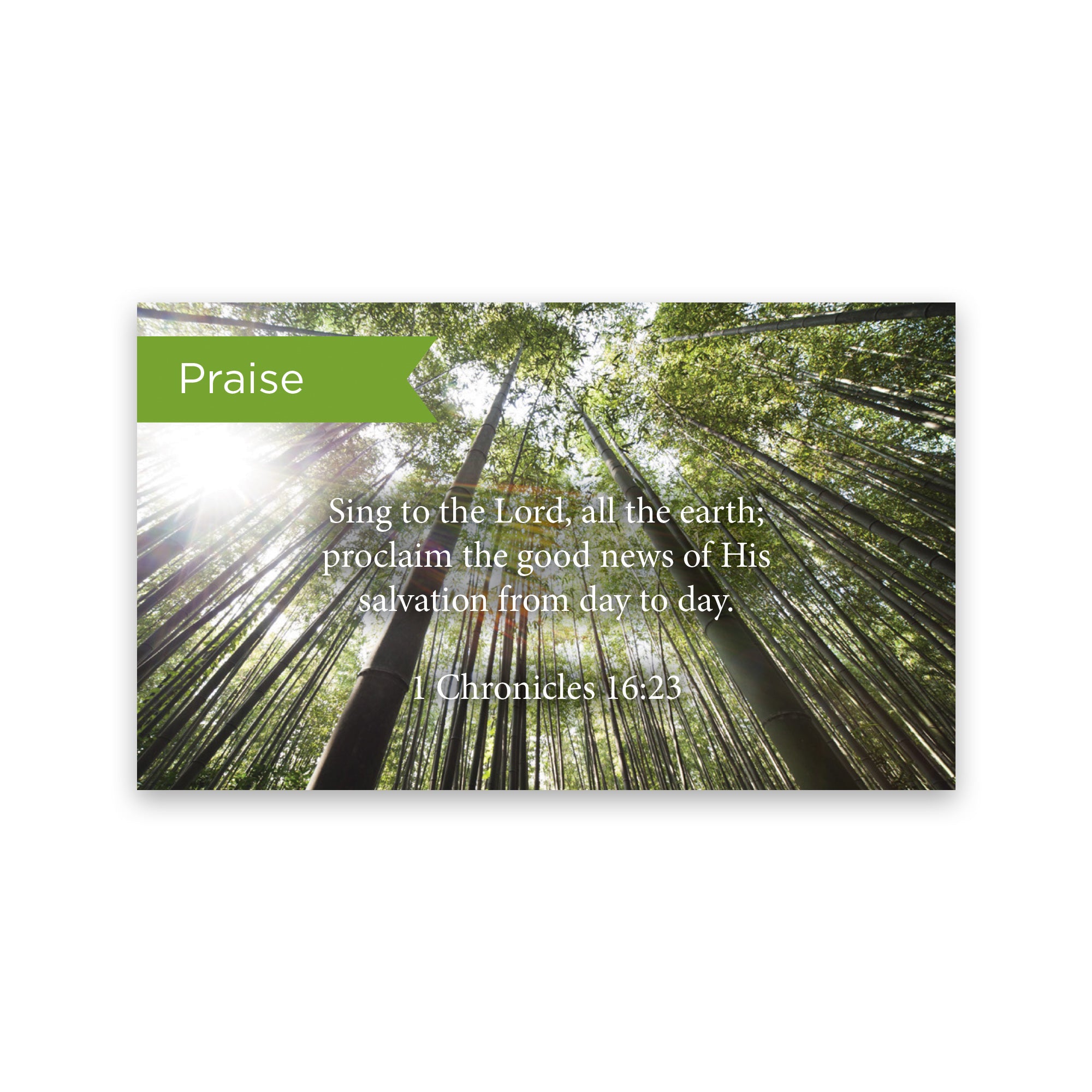 Pass Along Scripture Cards, Praise, 1 Chronicles 16:23, Pack 25