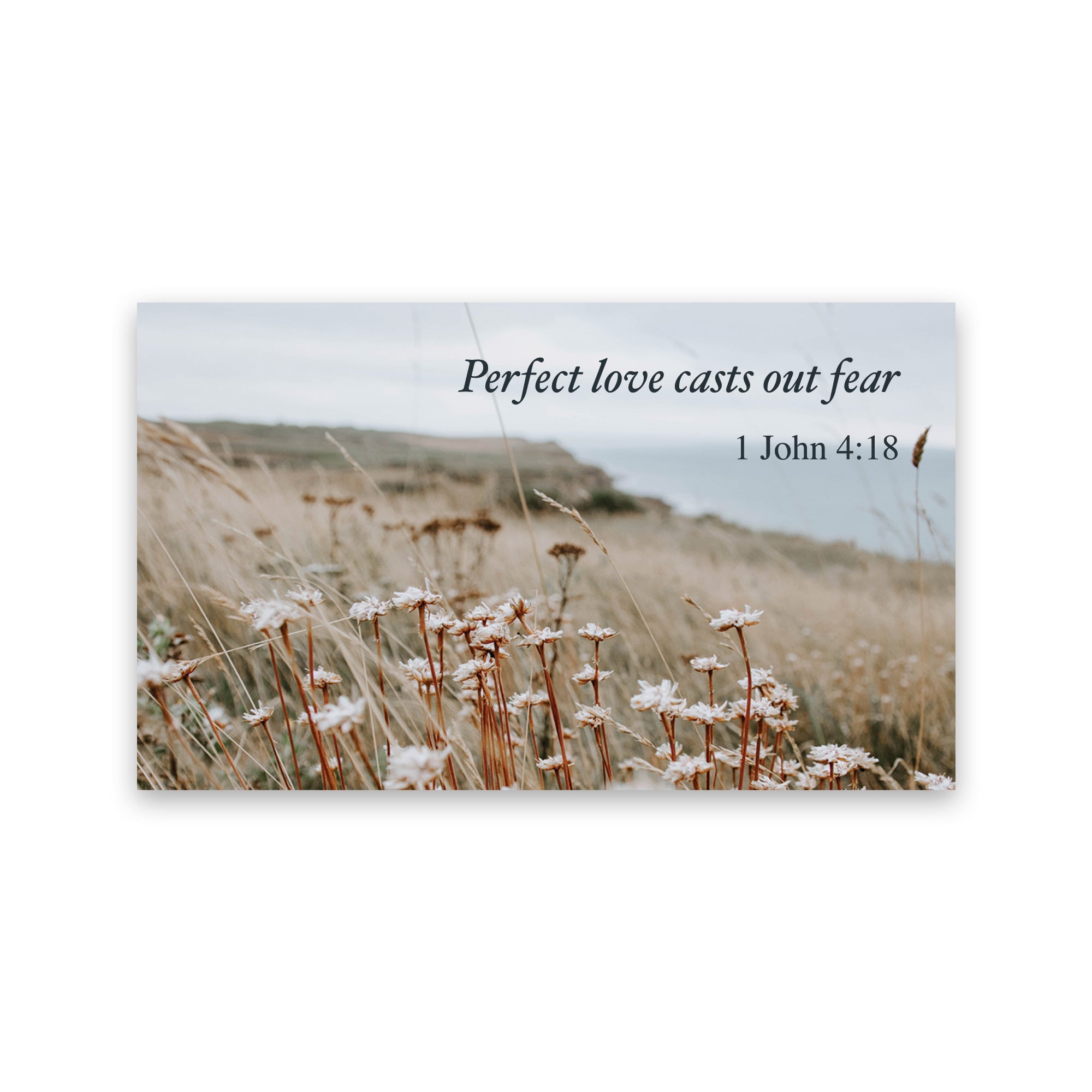 Perfect love casts out fear, 1 John 4:18, Pass Along Scripture Cards, Pack of 25