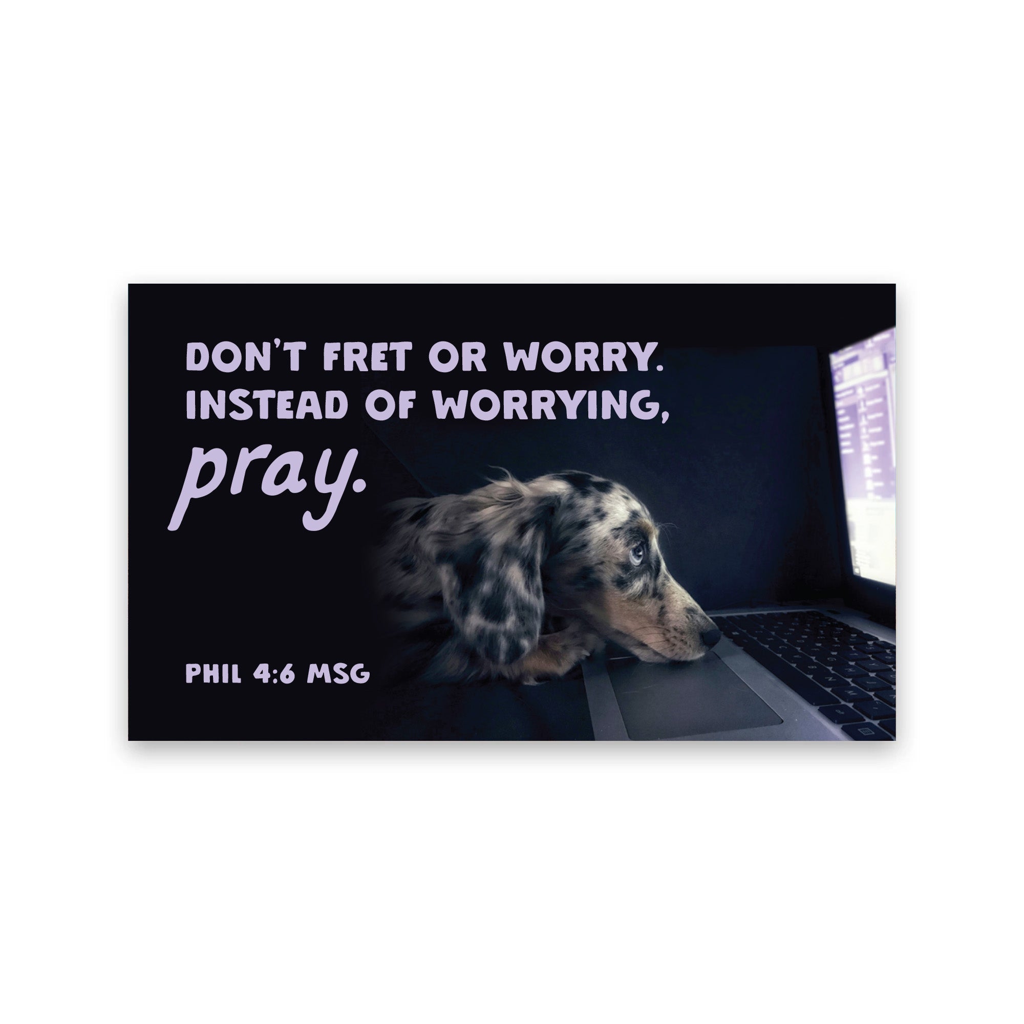 Dog, Don't Fret, Phil 4:6, Pass Along Scripture Cards, Pack of 25
