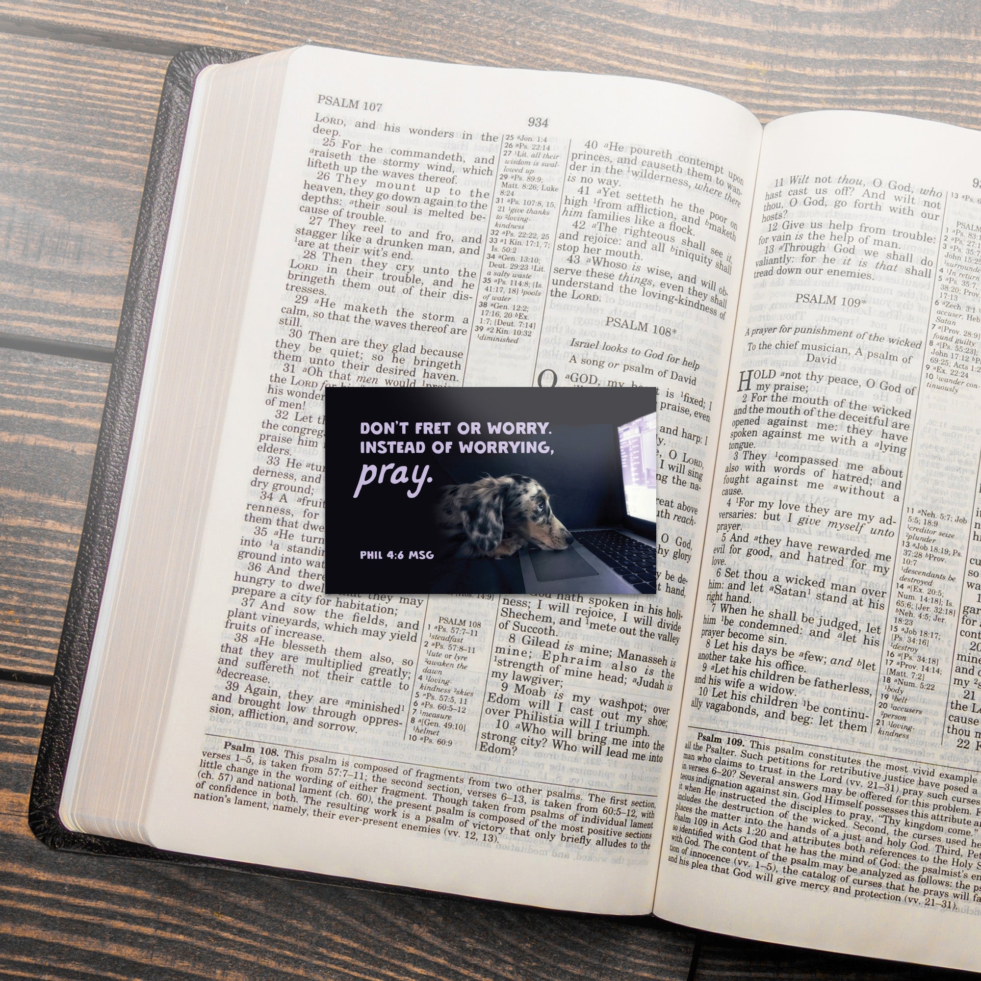 Dog, Don't Fret, Phil 4:6, Pass Along Scripture Cards, Pack of 25