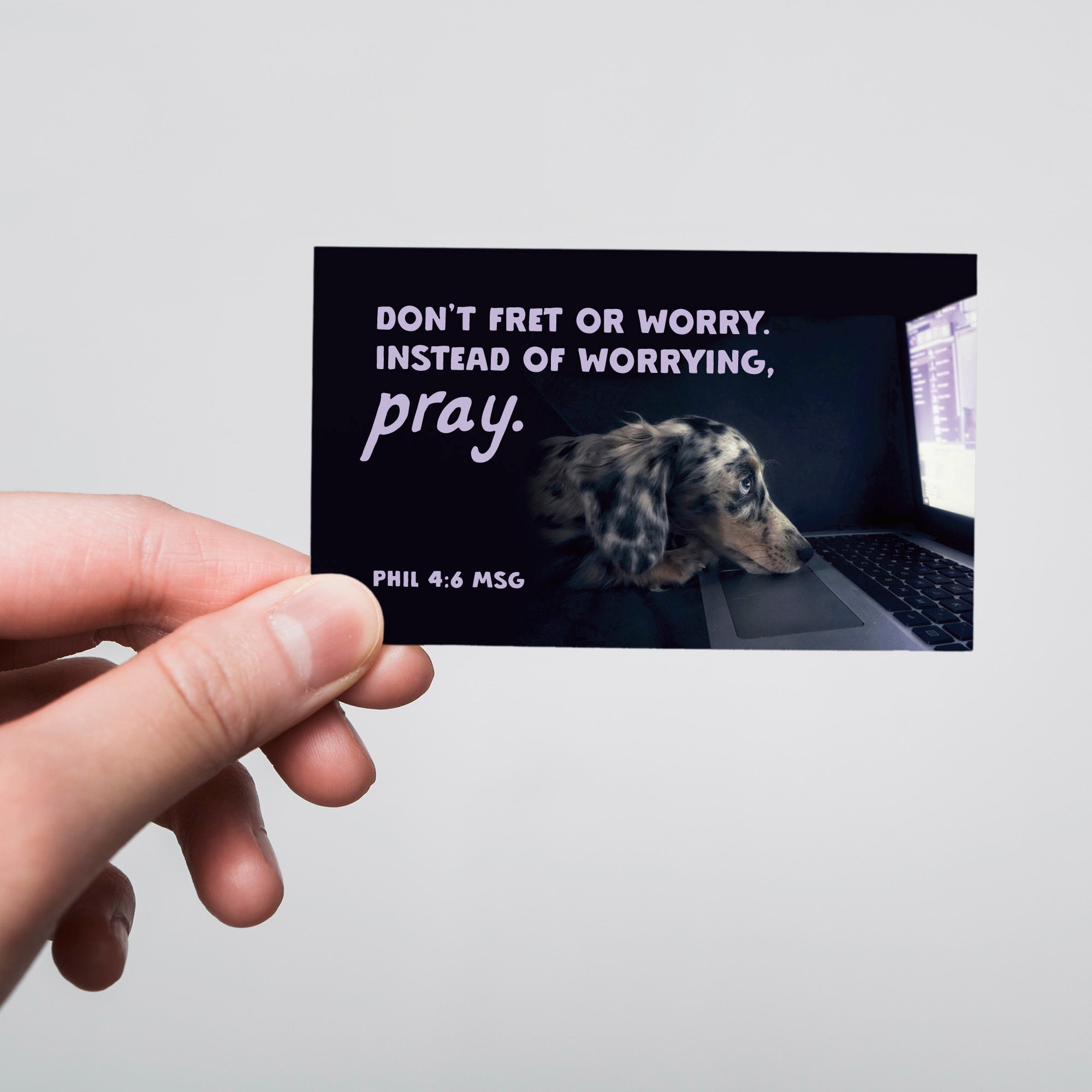 Dog, Don't Fret, Phil 4:6, Pass Along Scripture Cards, Pack of 25