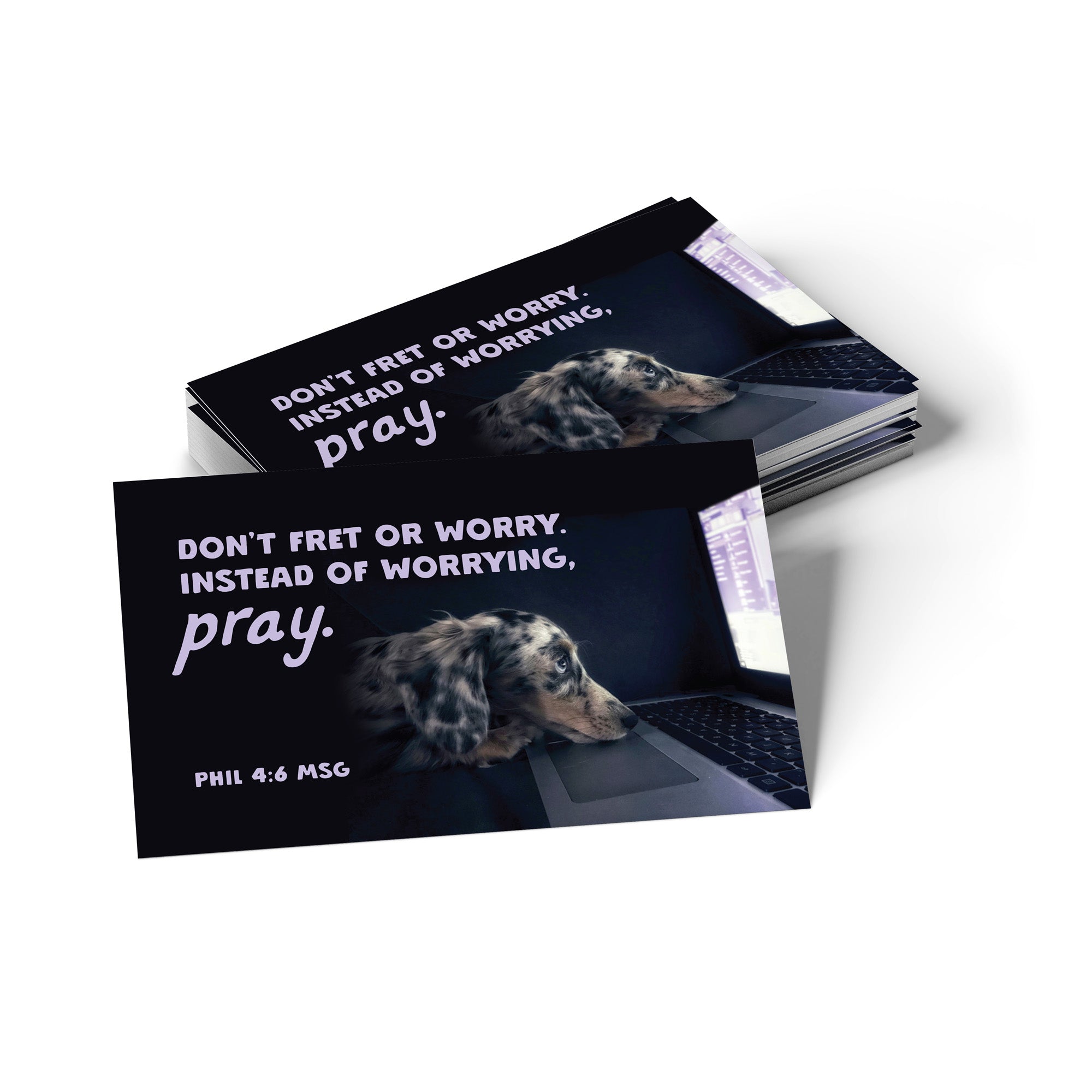 Dog, Don't Fret, Phil 4:6, Pass Along Scripture Cards, Pack of 25