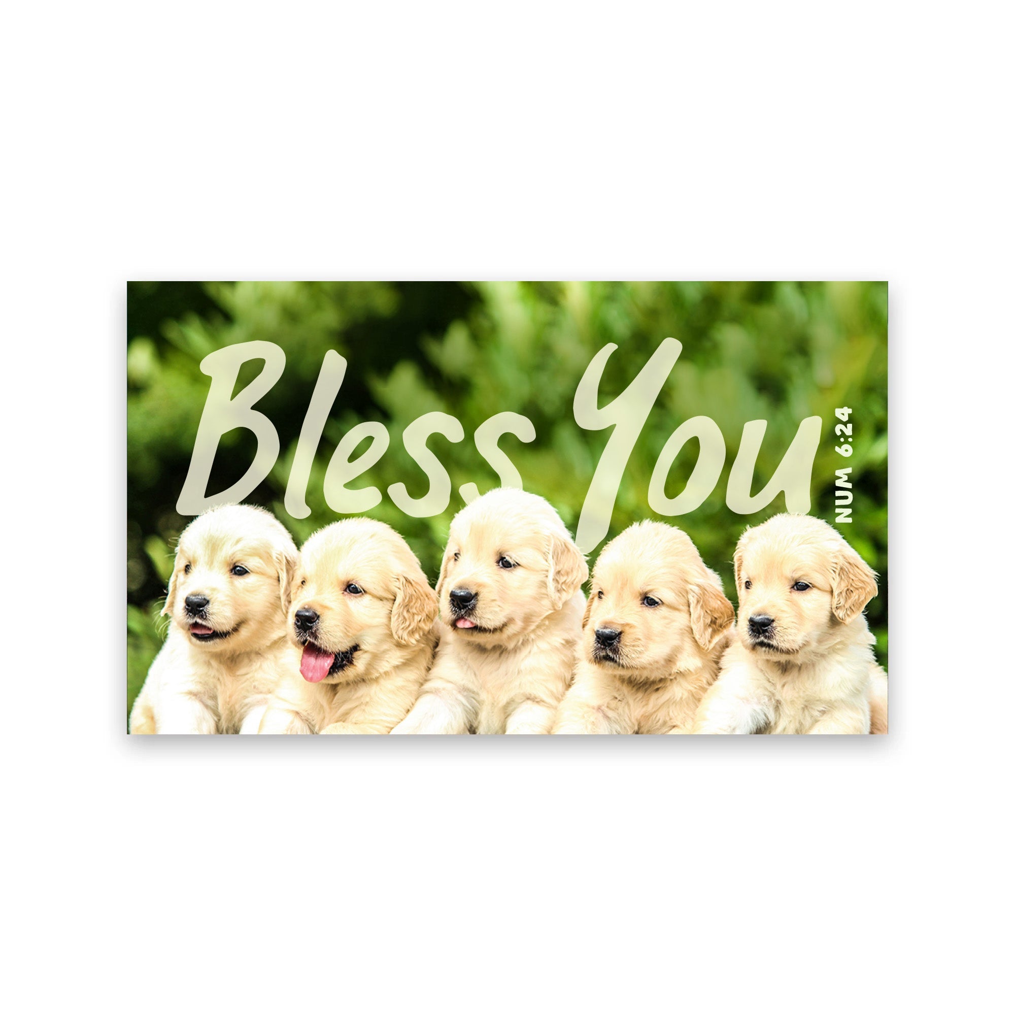 Puppies, Bless You, Num 6:24, Pass Along Scripture Cards, Pack of 25