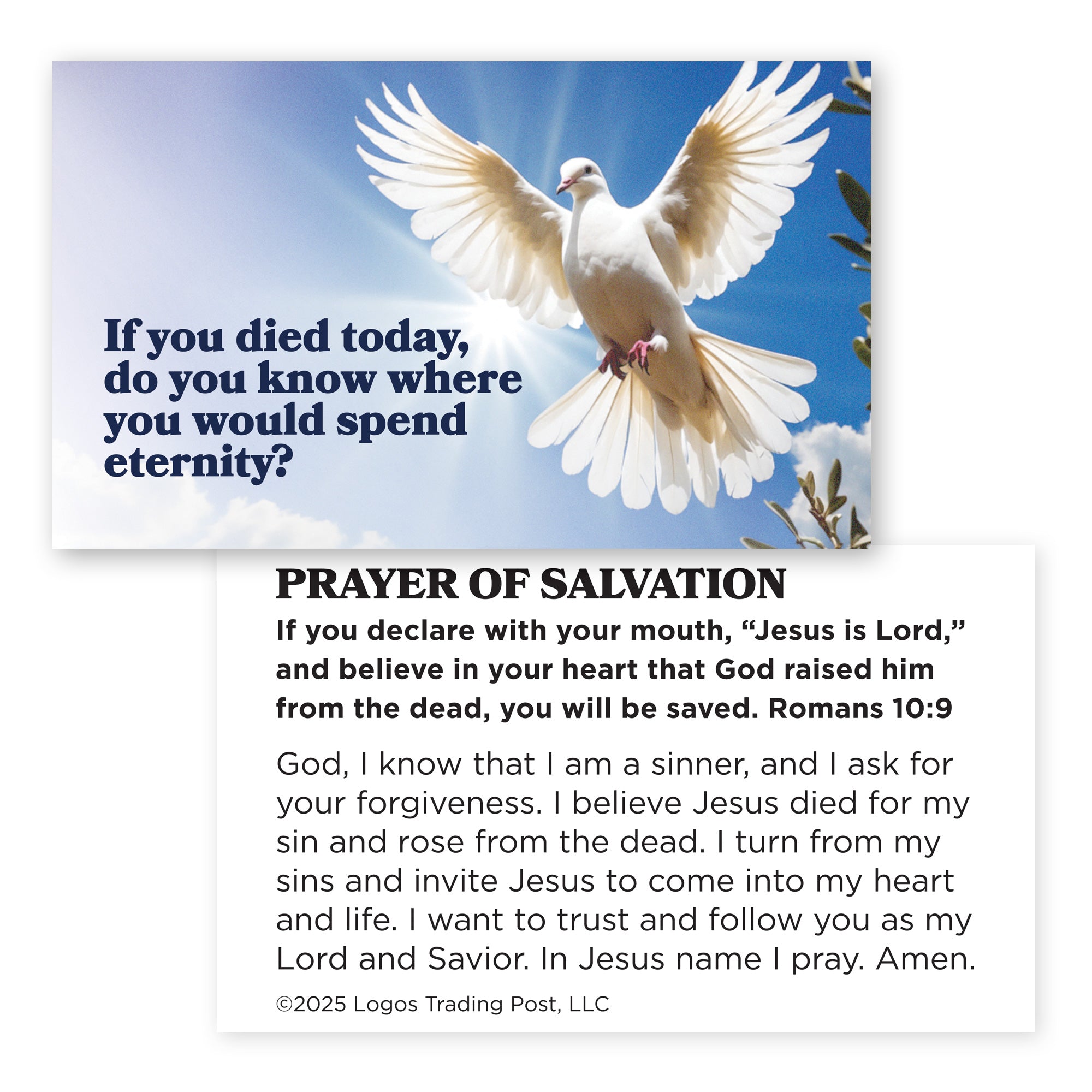 Do You Know/Salvation, Romans 10:9, Pass Along Scripture Cards, Pack of 25