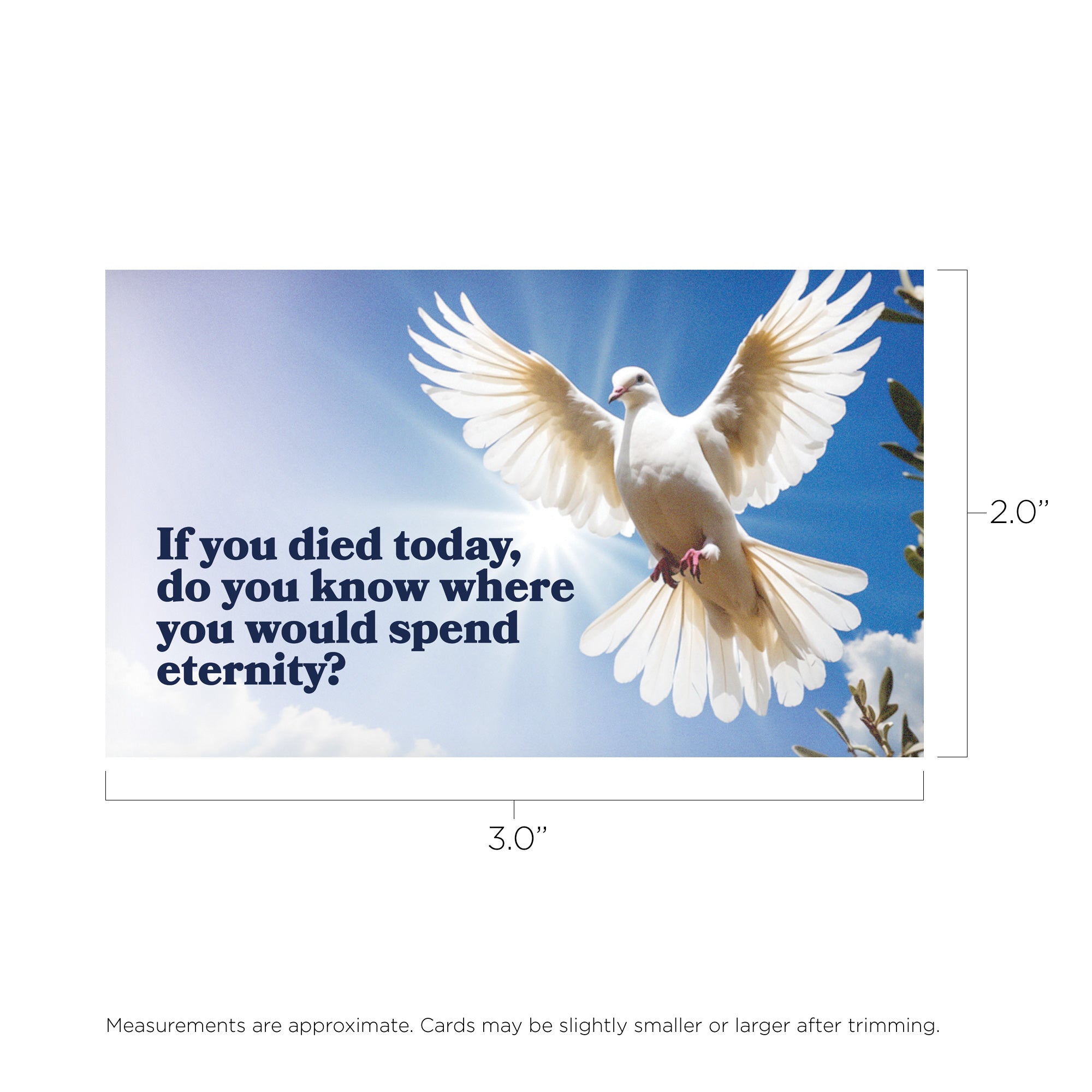 Do You Know/Salvation, Romans 10:9, Pass Along Scripture Cards, Pack of 25