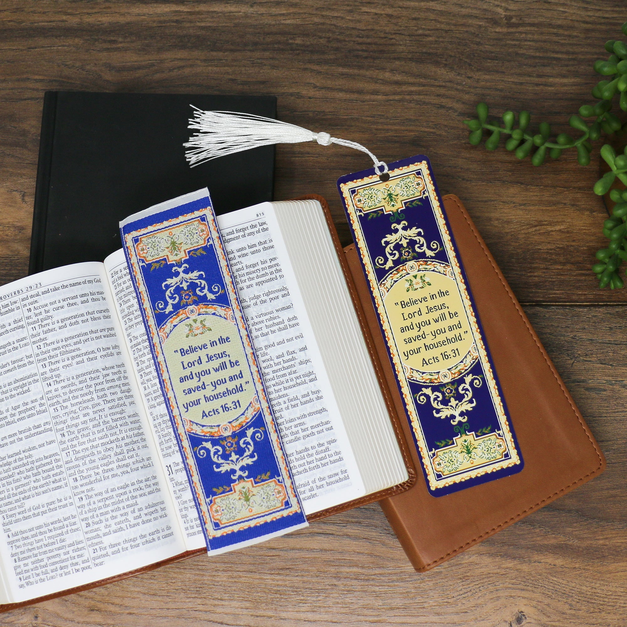 Believe in the Lord Jesus – Acts 16:31 Woven and Tasseled Bookmark Set