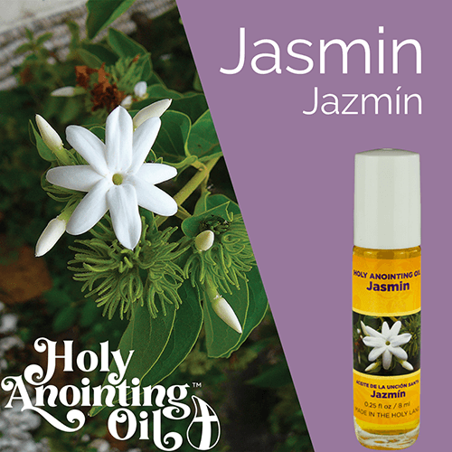 Jasmin Anointing Oil from Israel, Deluxe Gift Box Set - Gold