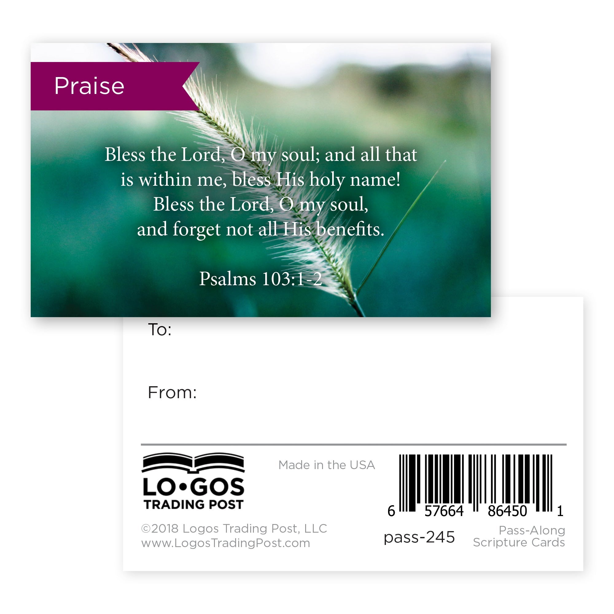 Pass Along Scripture Cards, Praise, Psalms 103:12, Pack 25