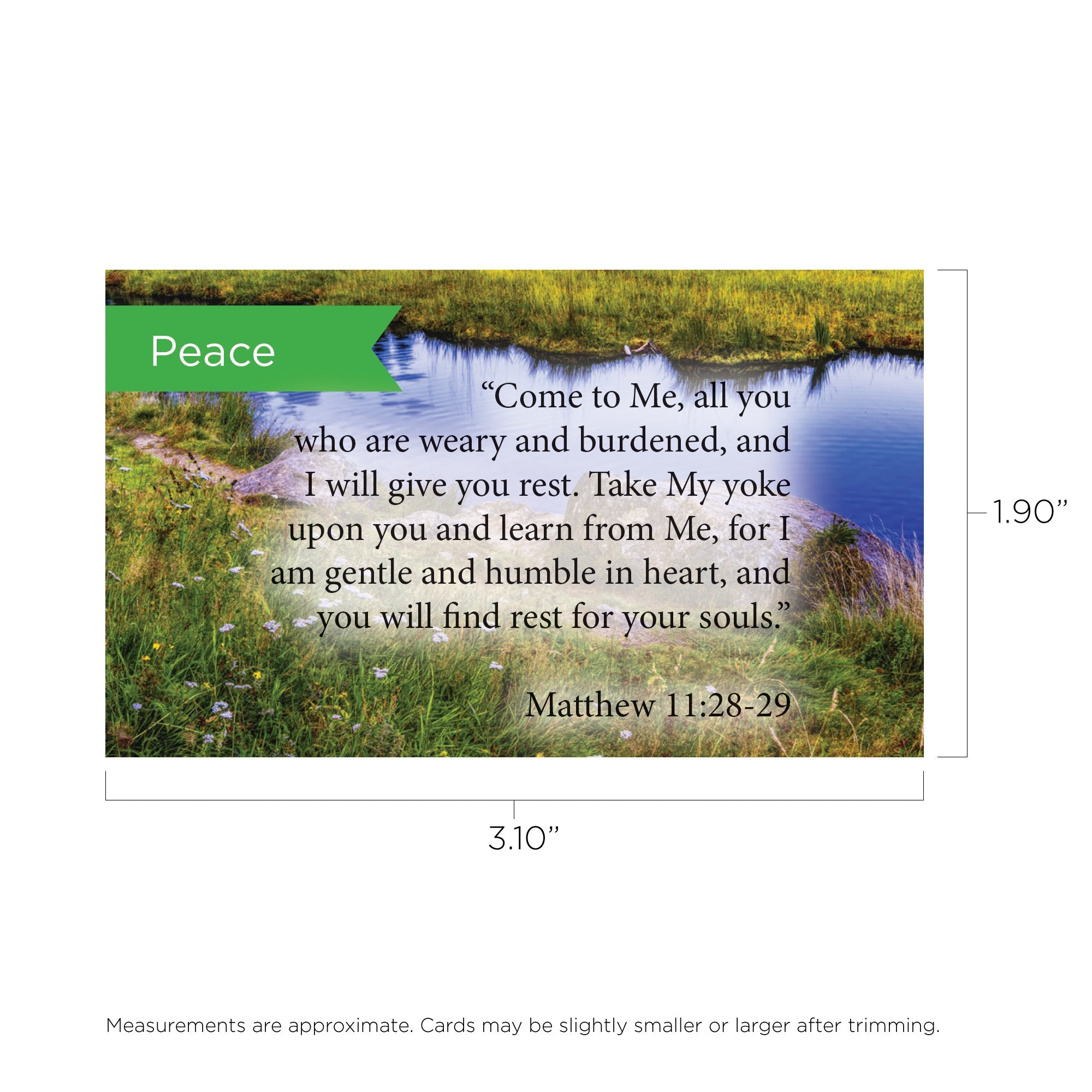 Peace, Matt 11:28-29, Pass Along Scripture Cards, Pack 25