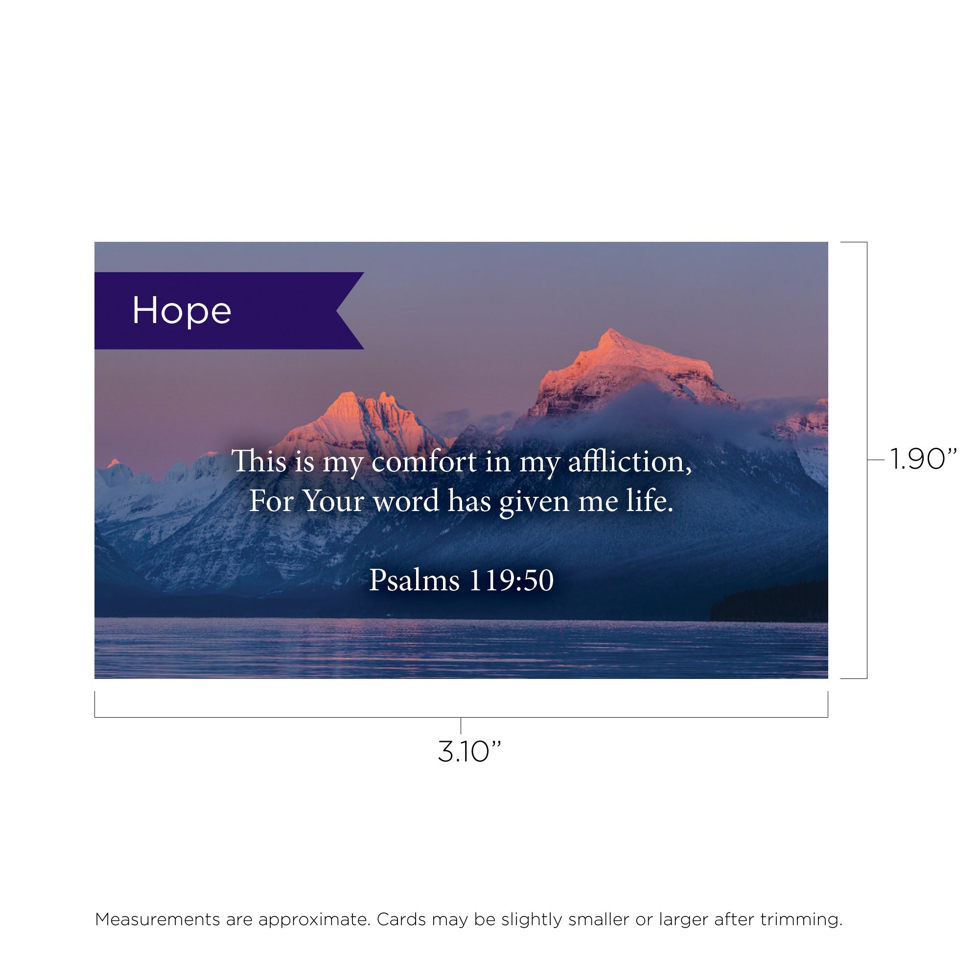 Pass Along Scripture Cards, Hope, Psalms 119:50, Pack 25
