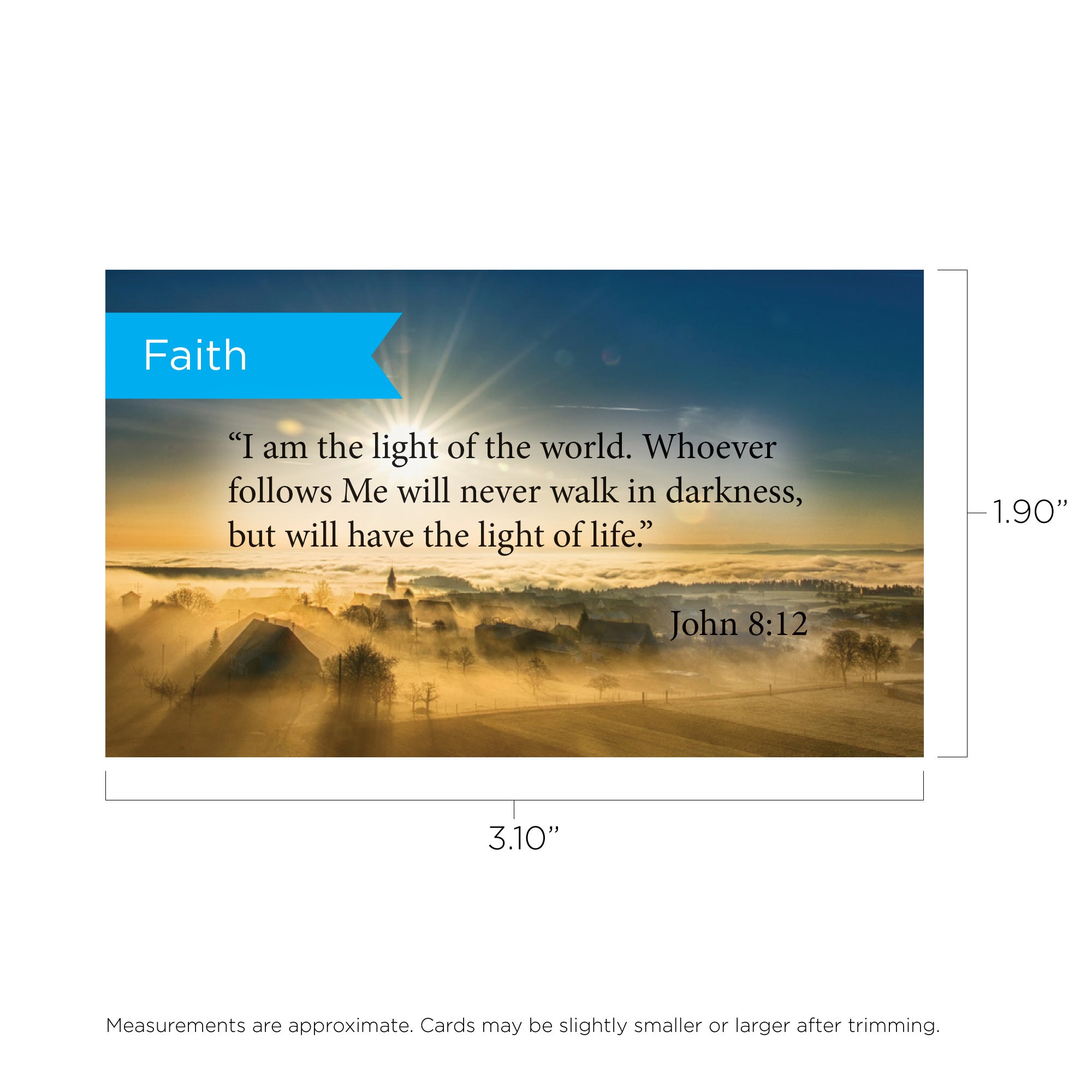 Faith, John 8:12, Pass Along Scripture Cards, Pack 25