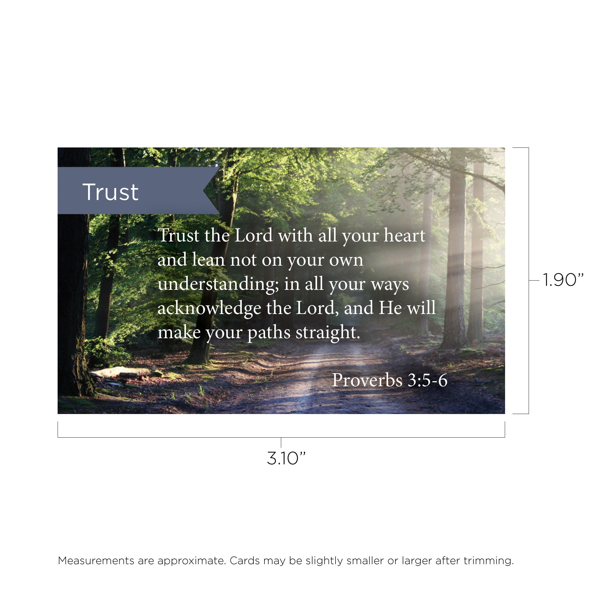 Trust In The Lord, Prov 3:5-6, Pass Along Scripture Cards, Pack 25